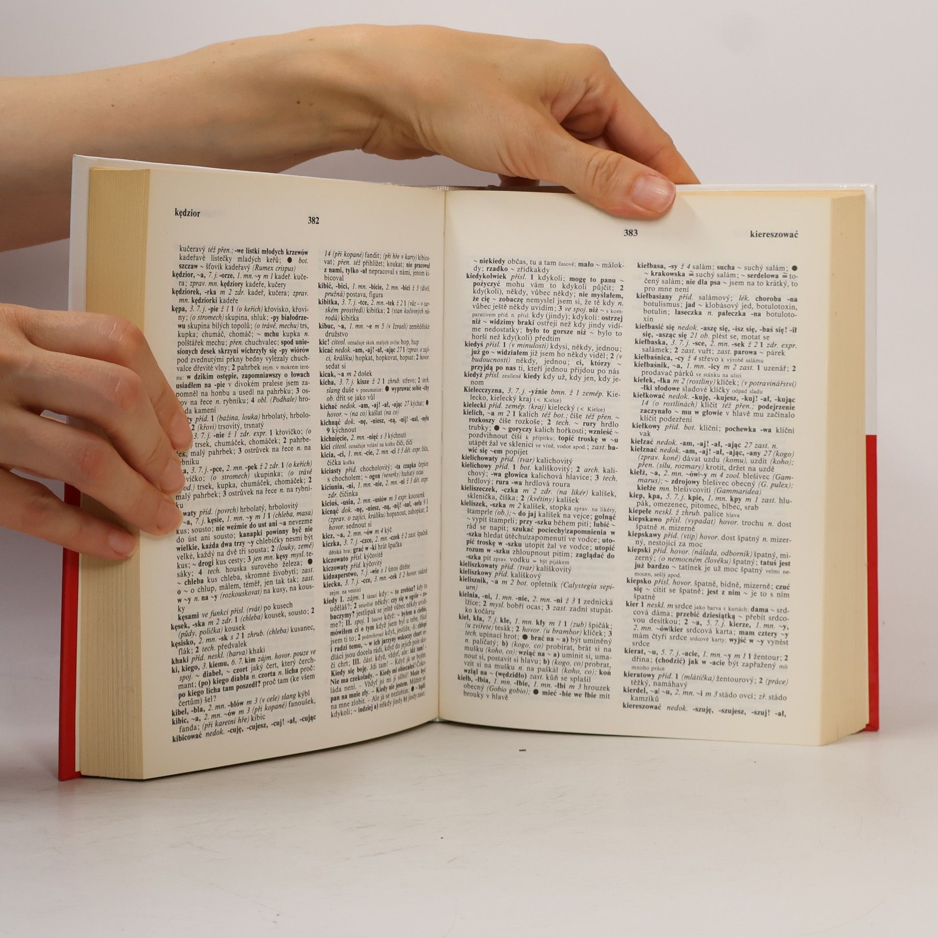 Autorenkollektiv Polsko-český slovník = Słownik polsko-czeski. I, A-Ó