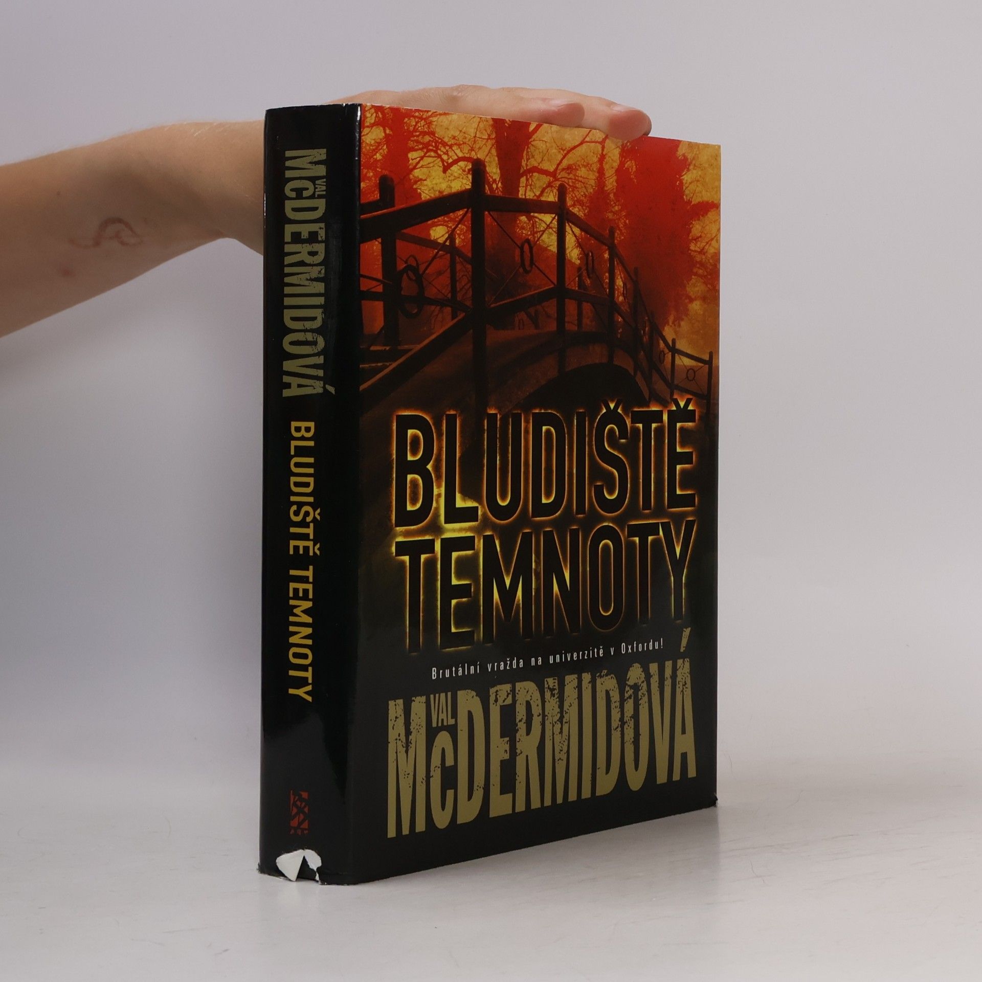 Val McDermid Bludiště temnoty