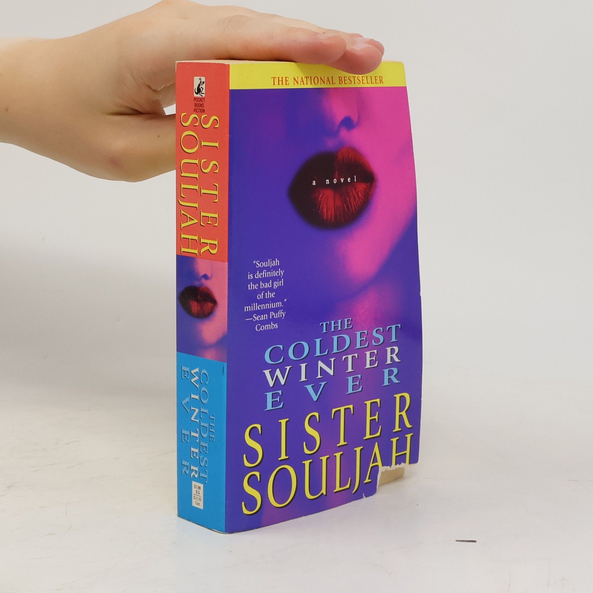 Sister Souljah The Coldest Winter Ever