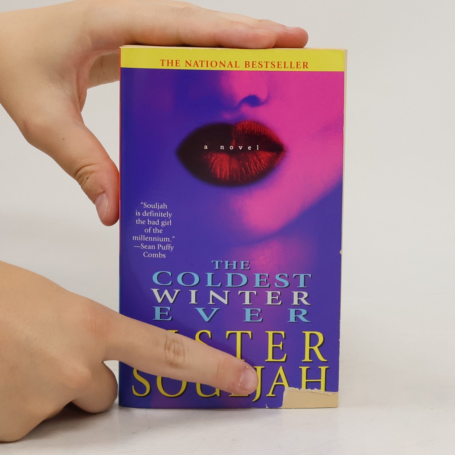 Sister Souljah The Coldest Winter Ever