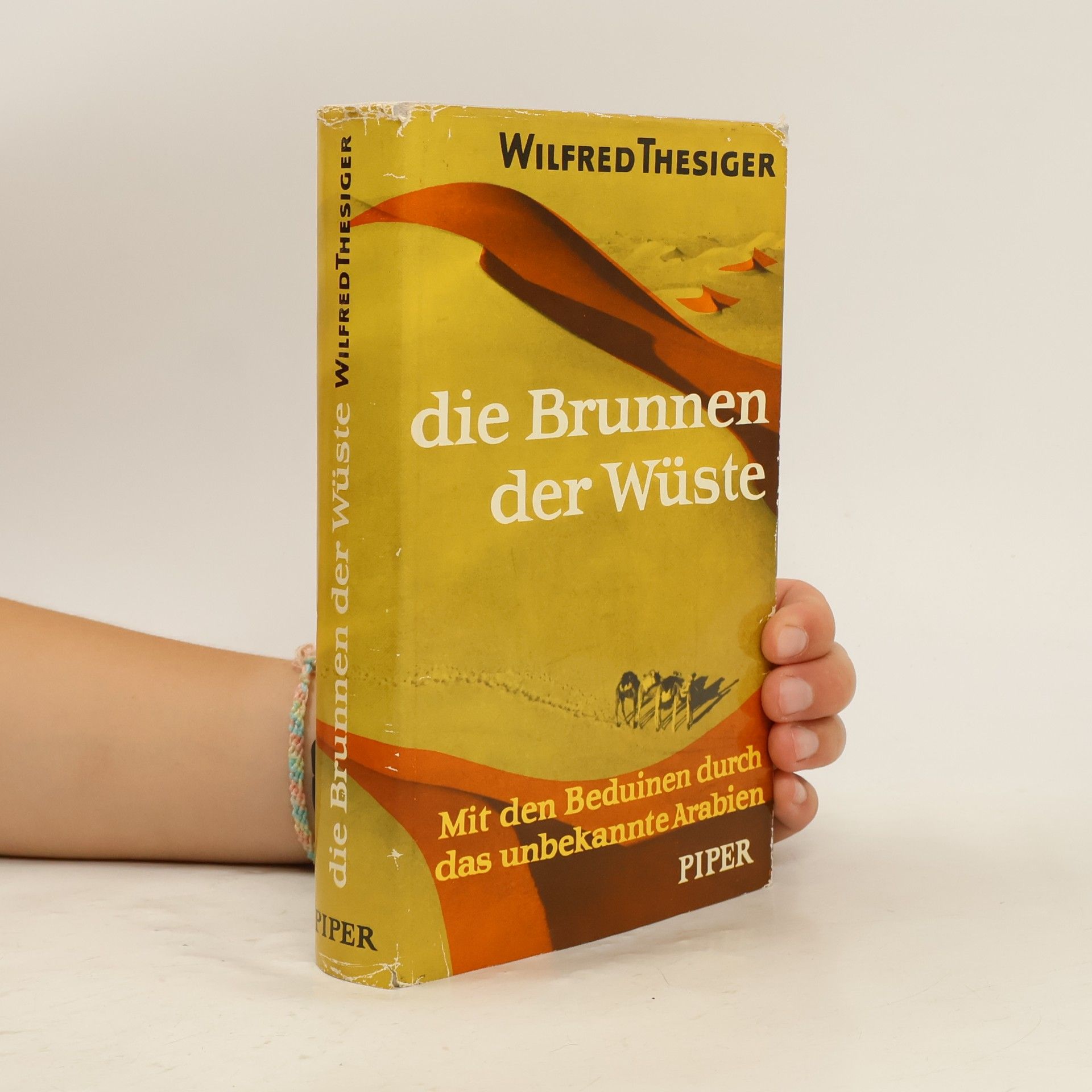 Die Brunnen der Wüste