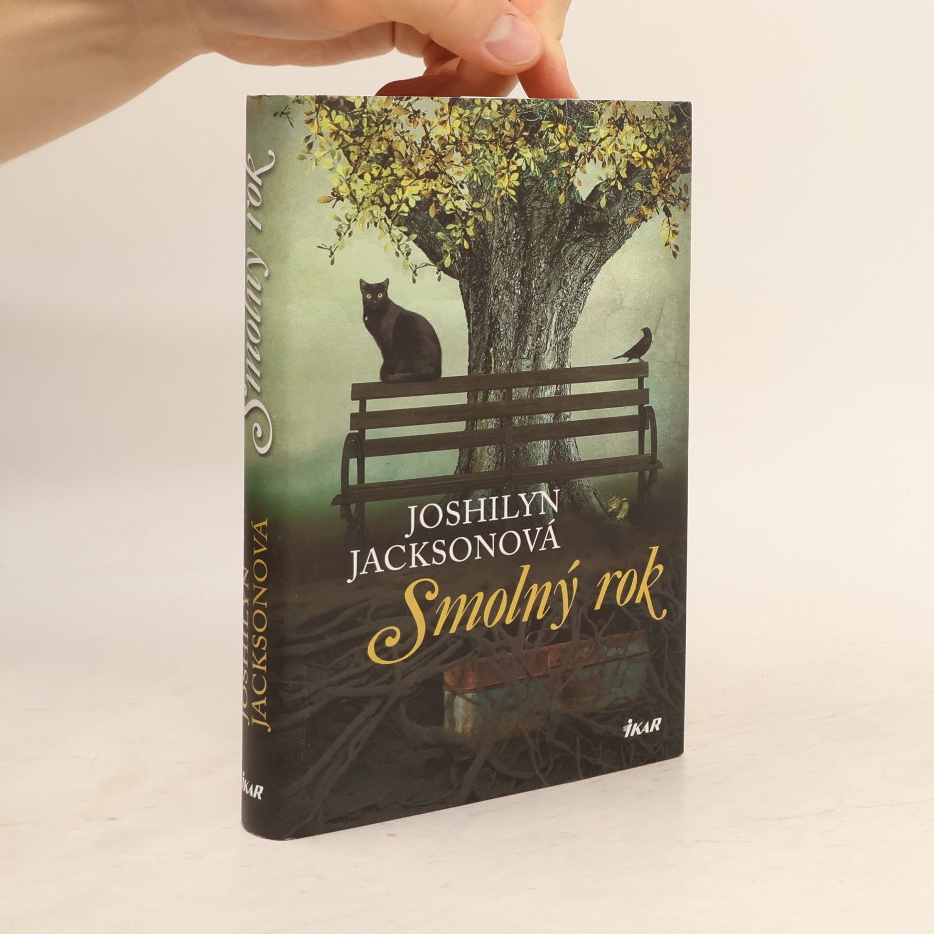 Joshilyn Jackson Smolný rok