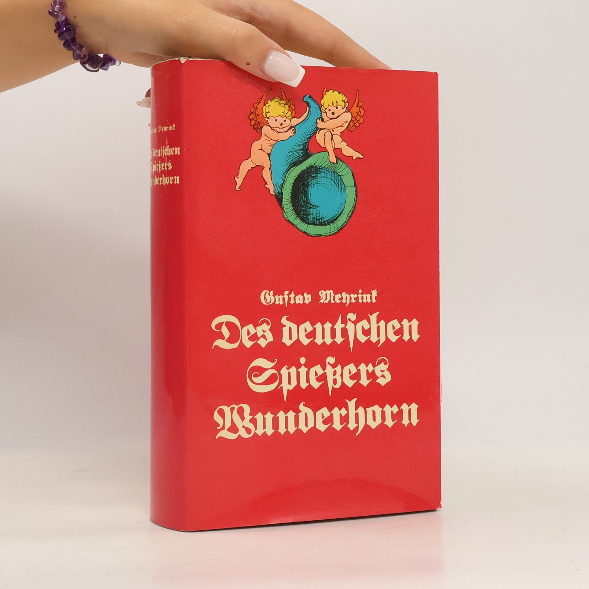 Gustav Meyrink Des Deutschen Spießers Wunderhorn