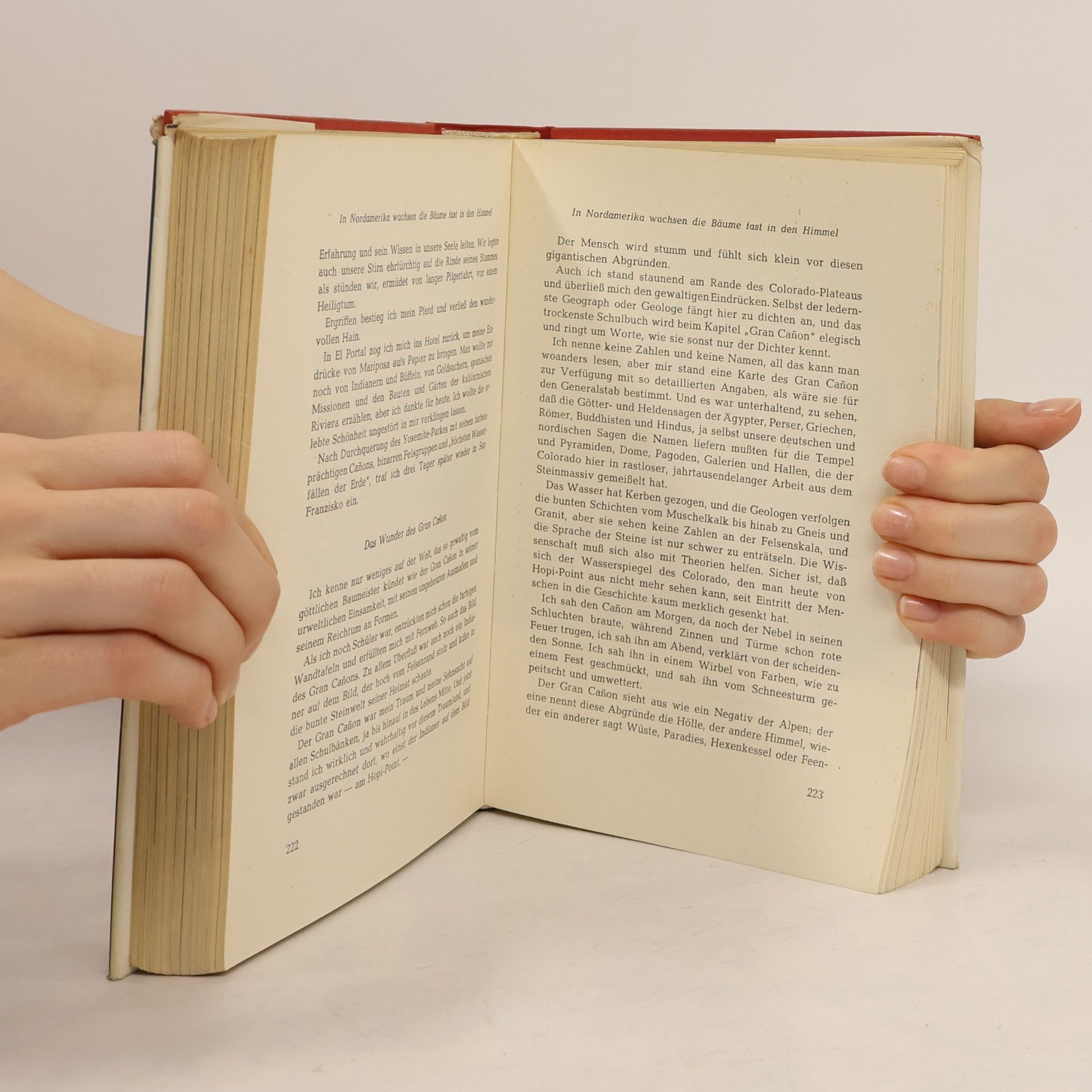 Autorenkollektiv Das Abenteuer Lockt