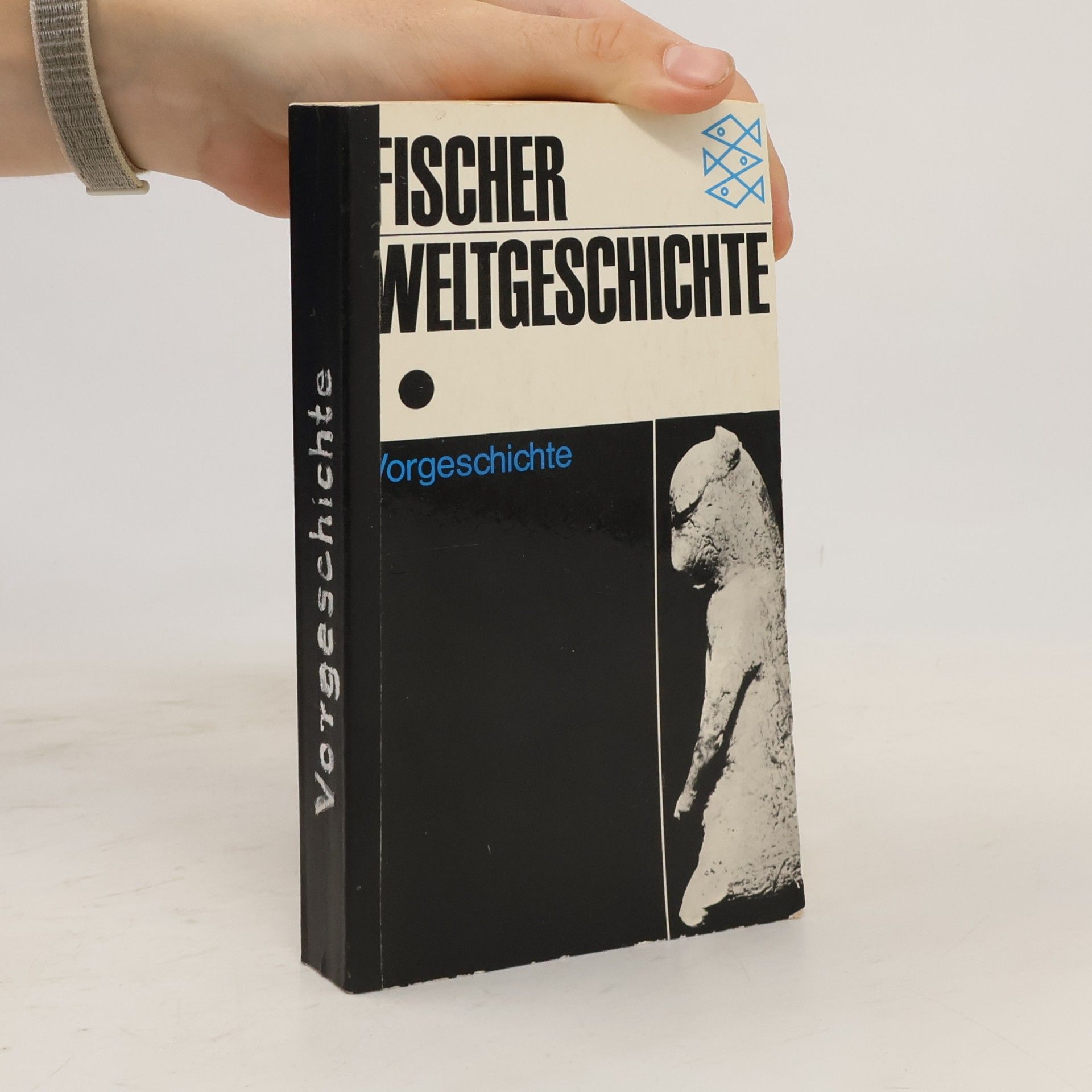 Kolektiv autorů Fischer Weltgeschichte : Vorgeschichte