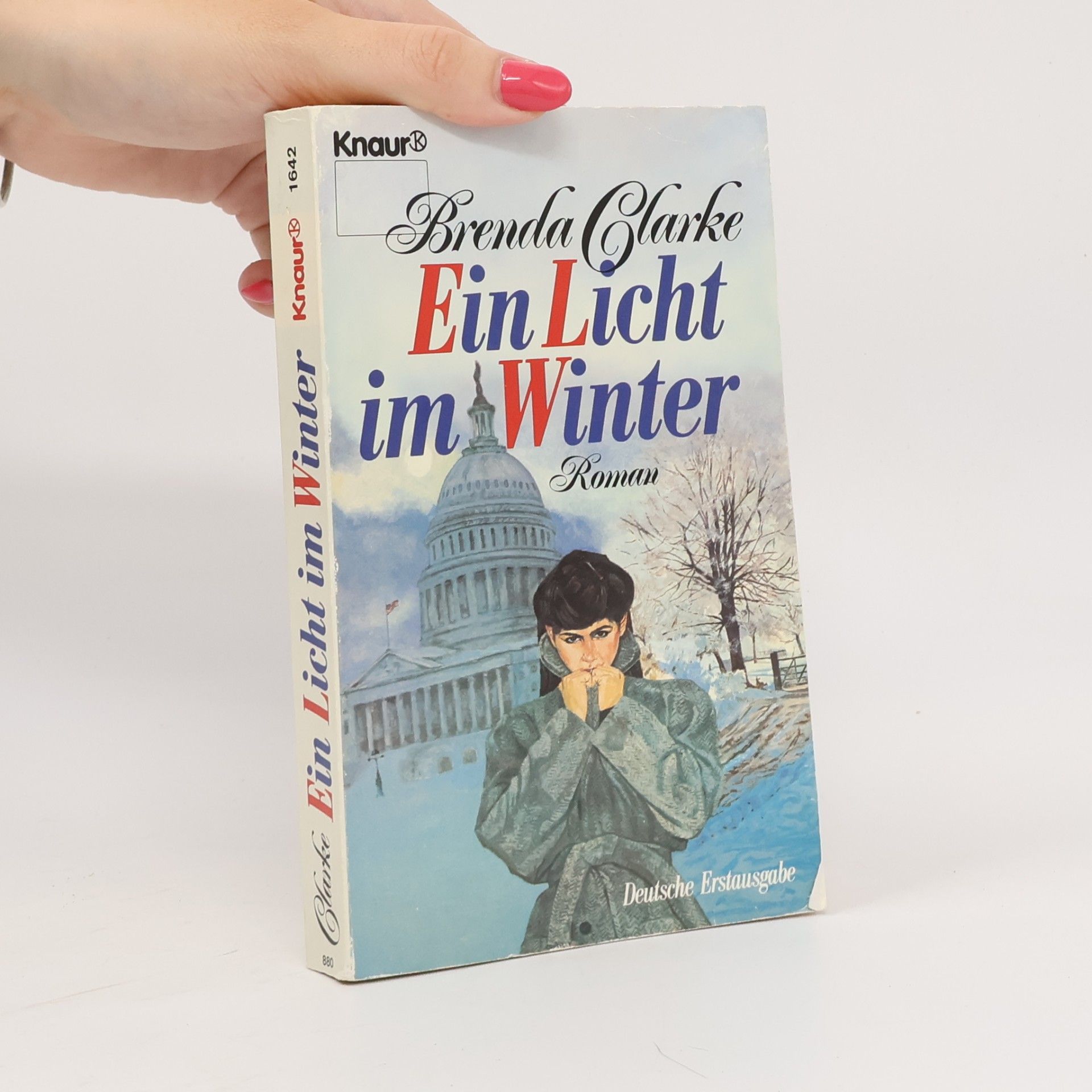 Ein Licht im Winter. Roman