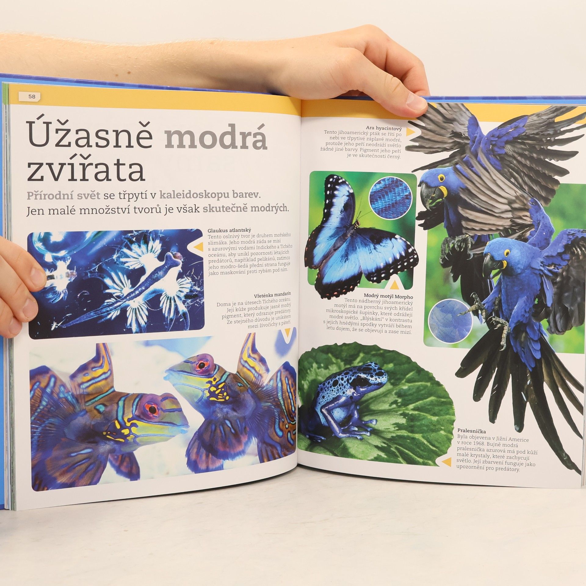 Various authors Neuvěřitelná fakta o zvířatech