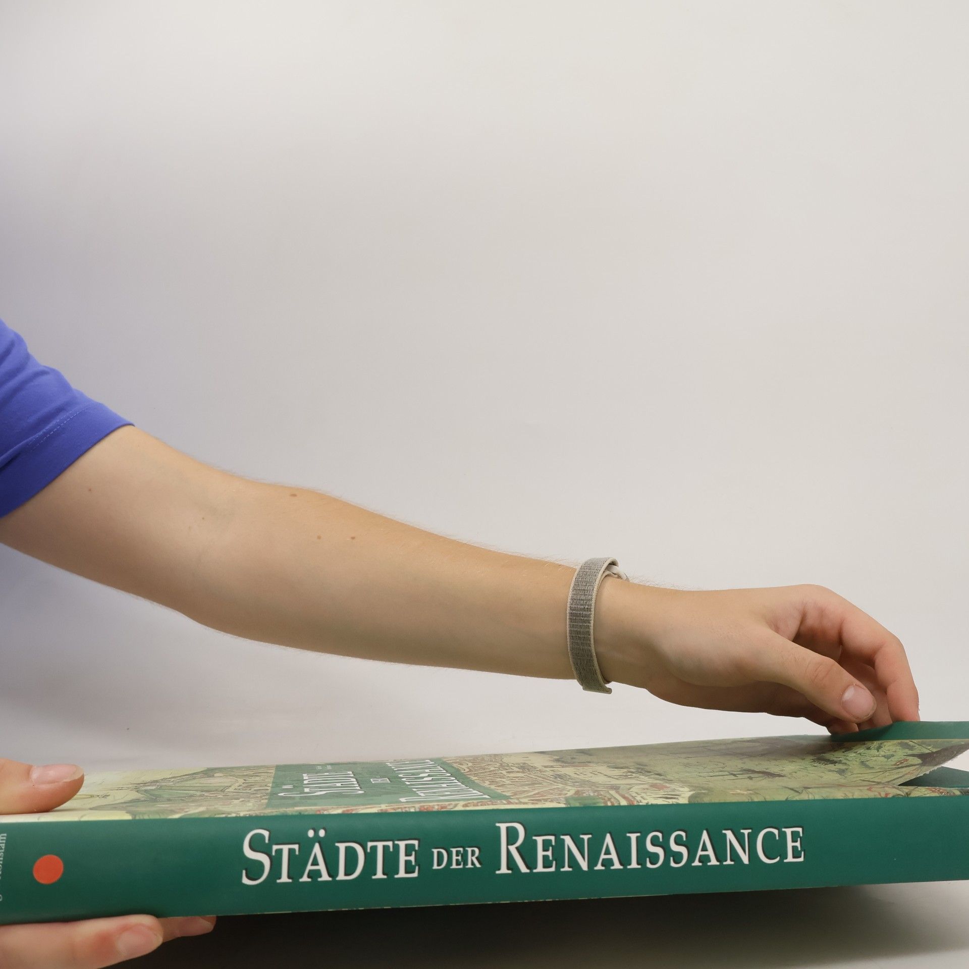 Michael Swift Städte der Renaissance