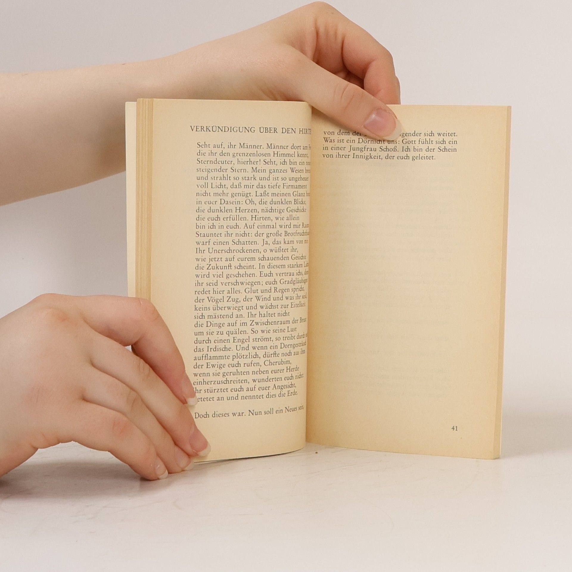 Rainer Maria Rilke Gedichte