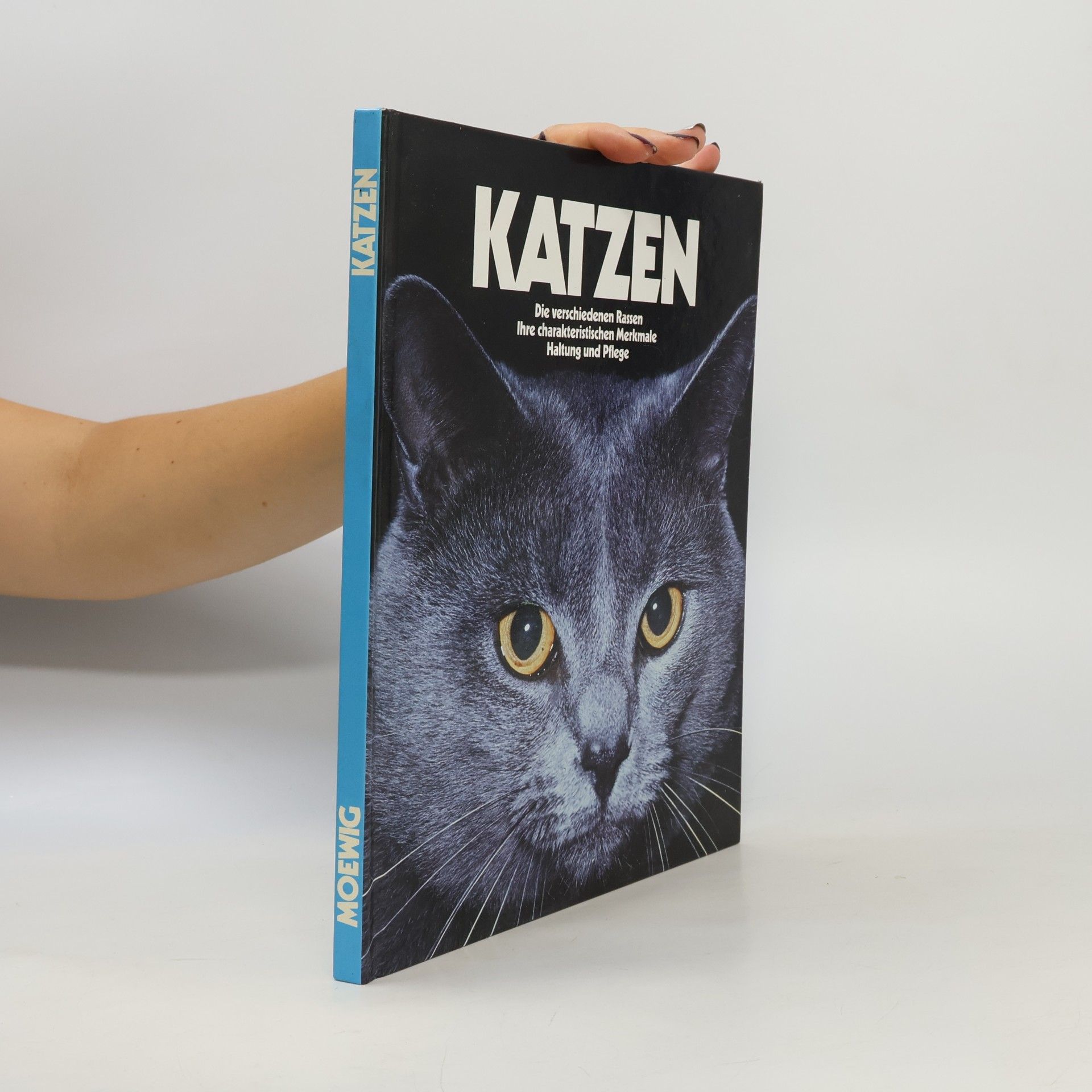 Kolektiv autorů Katzen. Die verschiedenen Rassen. Ihre charakteristischen Merkmale. Haltung und Pflege.