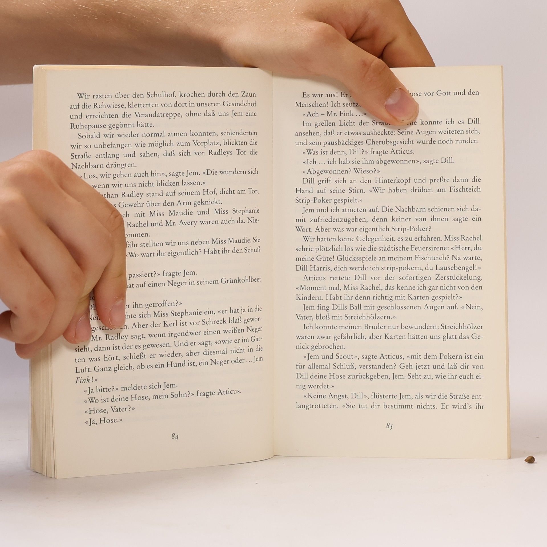 Harper Lee Wer die Nachtigall stört...
