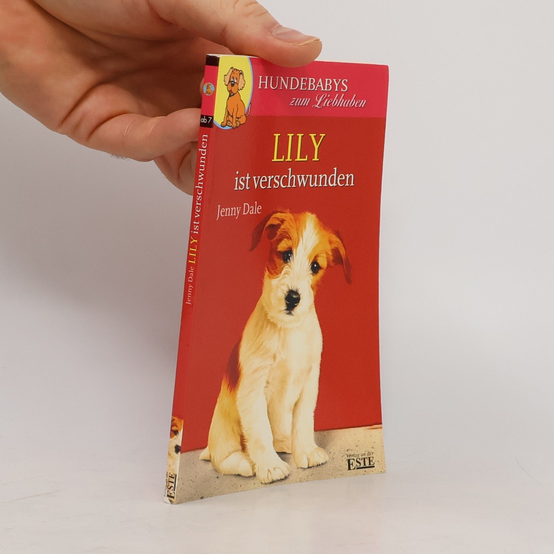 Linda Champan Lily ist verschwunden