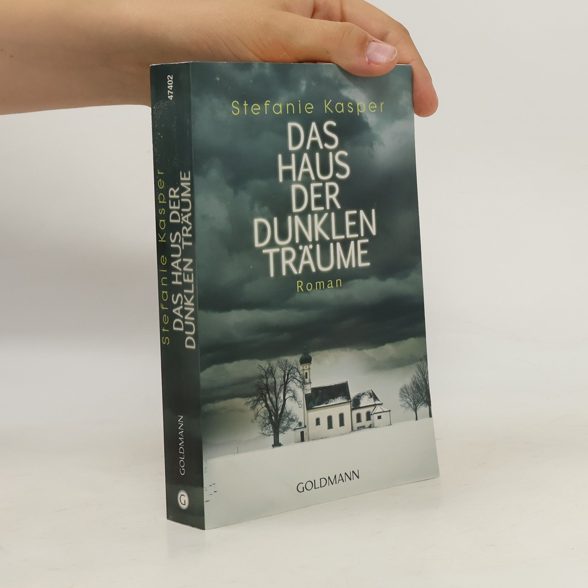 Stefanie Kasper Das Haus der dunklen Träume