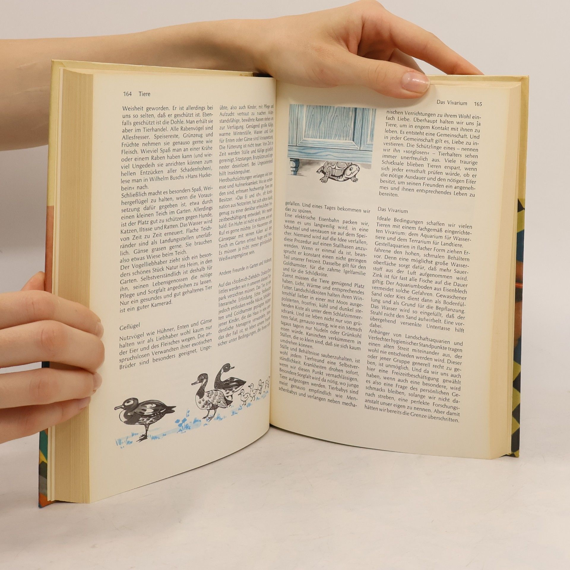 Georg Lentz Das große Hobbybuch