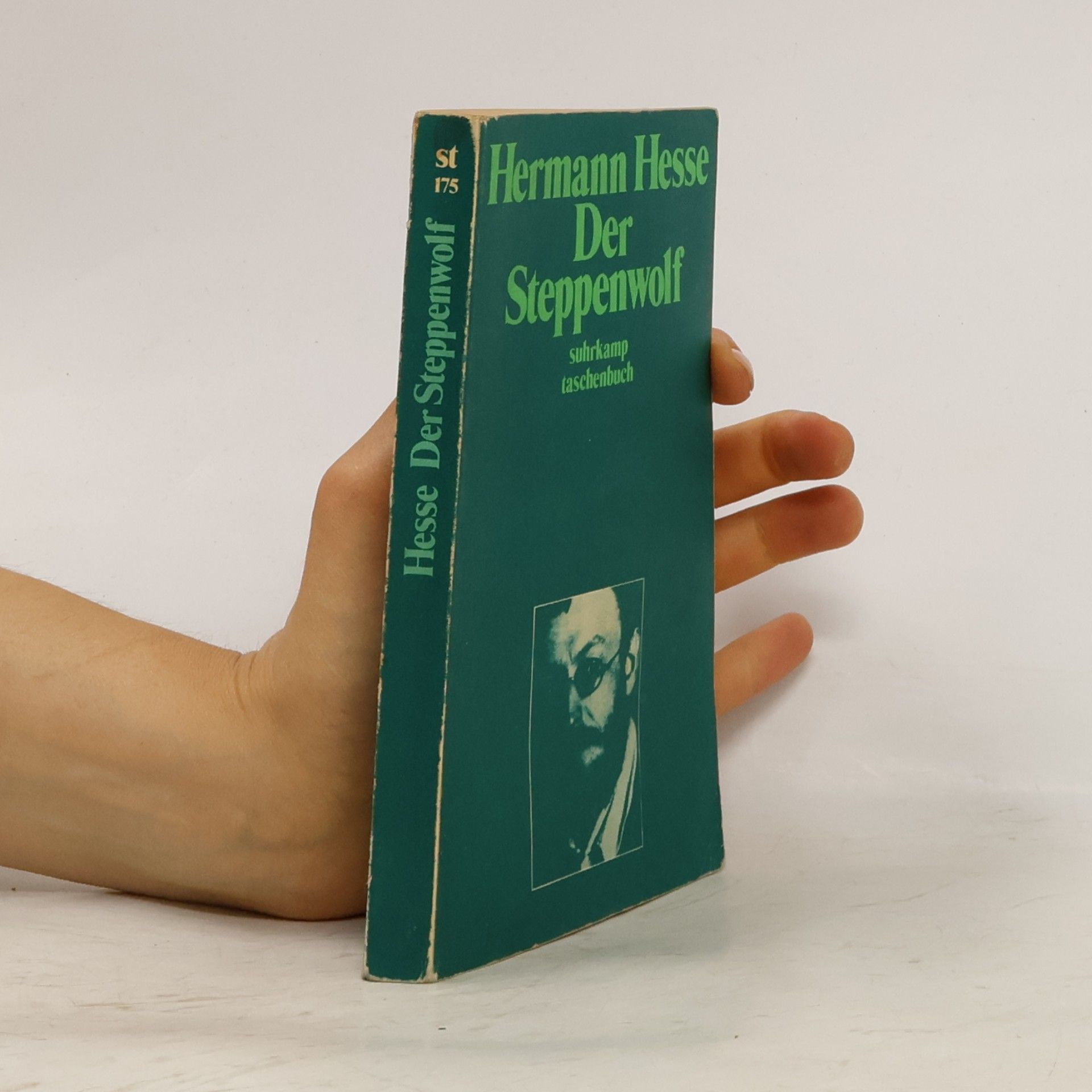 Hermann Hesse Der Steppenwolf