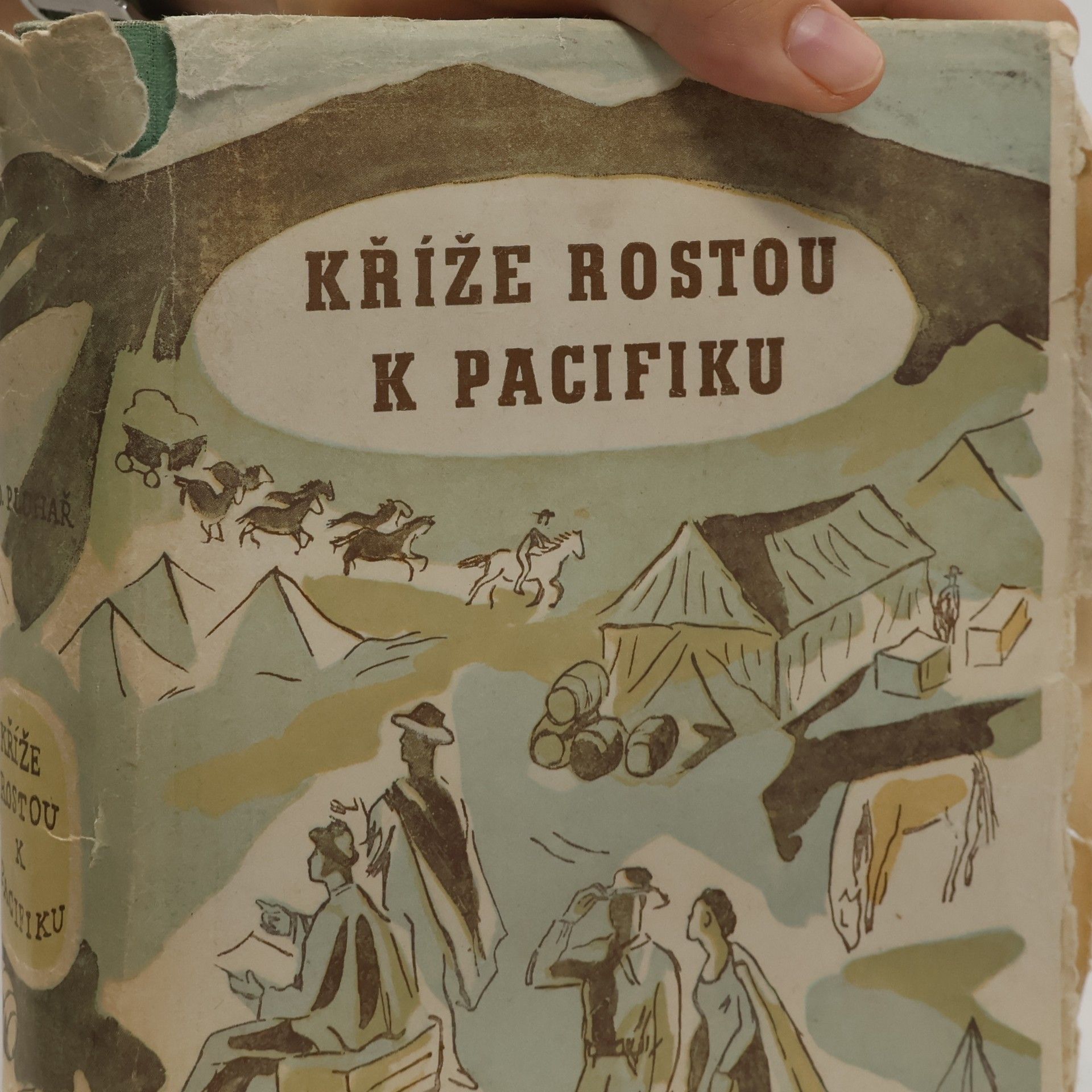 Zdeněk Pluhař Kříže rostou k Pacifiku