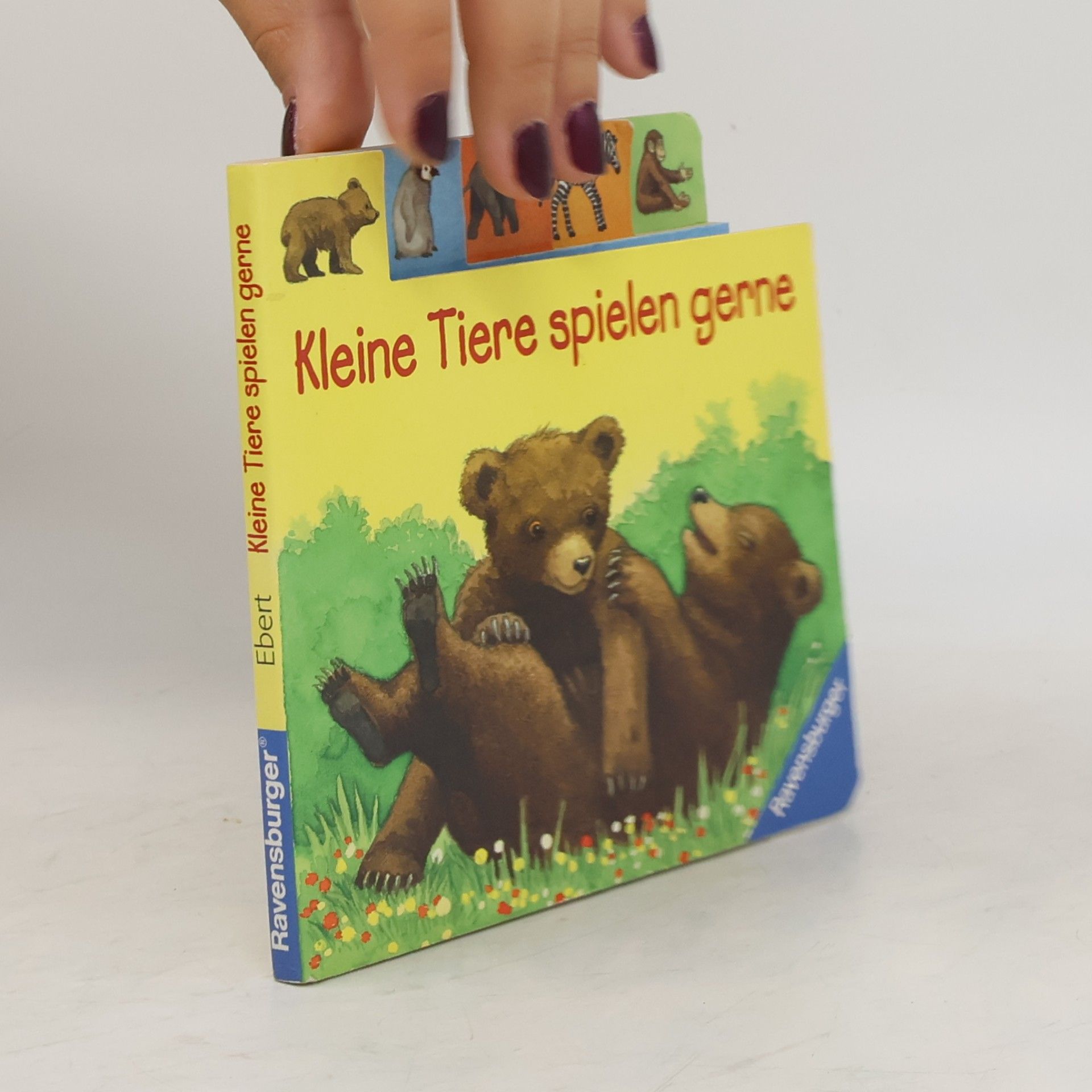 Andrea Erne-Schunder Kleine Tiere spielen gerne