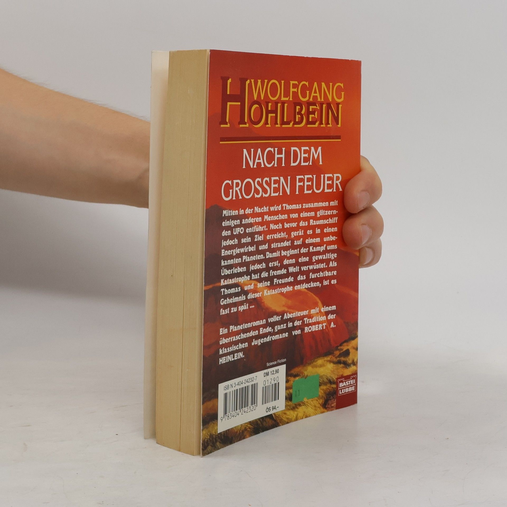 Wolfgang Hohlbein Nach dem grossen Feuer