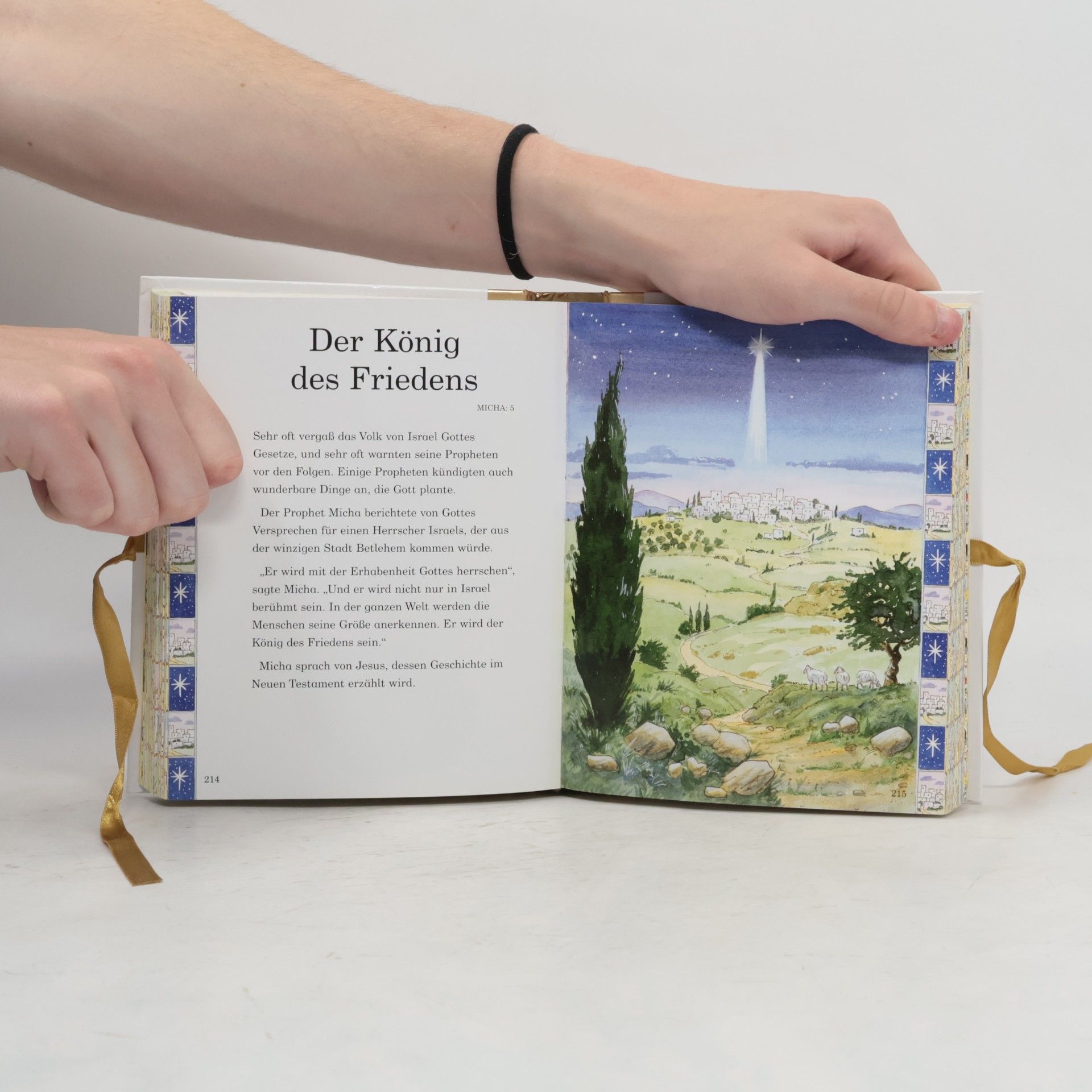 Various authors Meine erste Kinderbibel