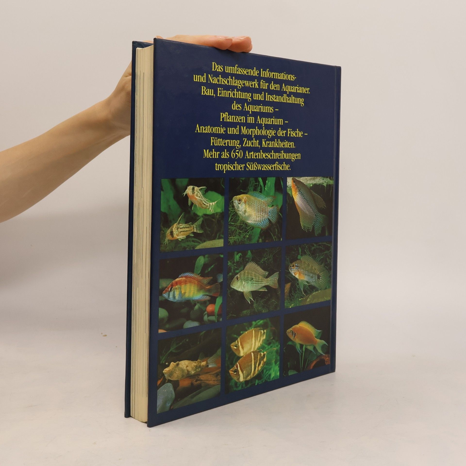 Various authors Aquaristik. Das grosse Handbuch der tropischen Süsswasserfische