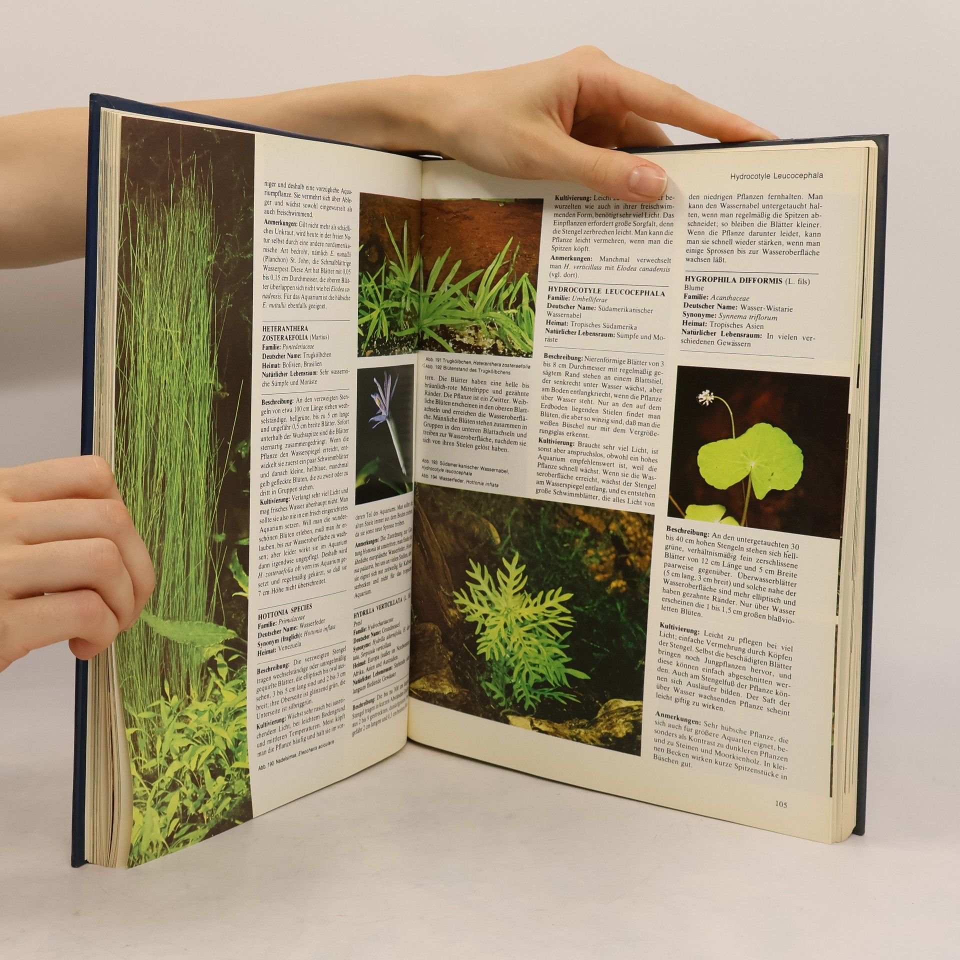 Various authors Aquaristik. Das grosse Handbuch der tropischen Süsswasserfische