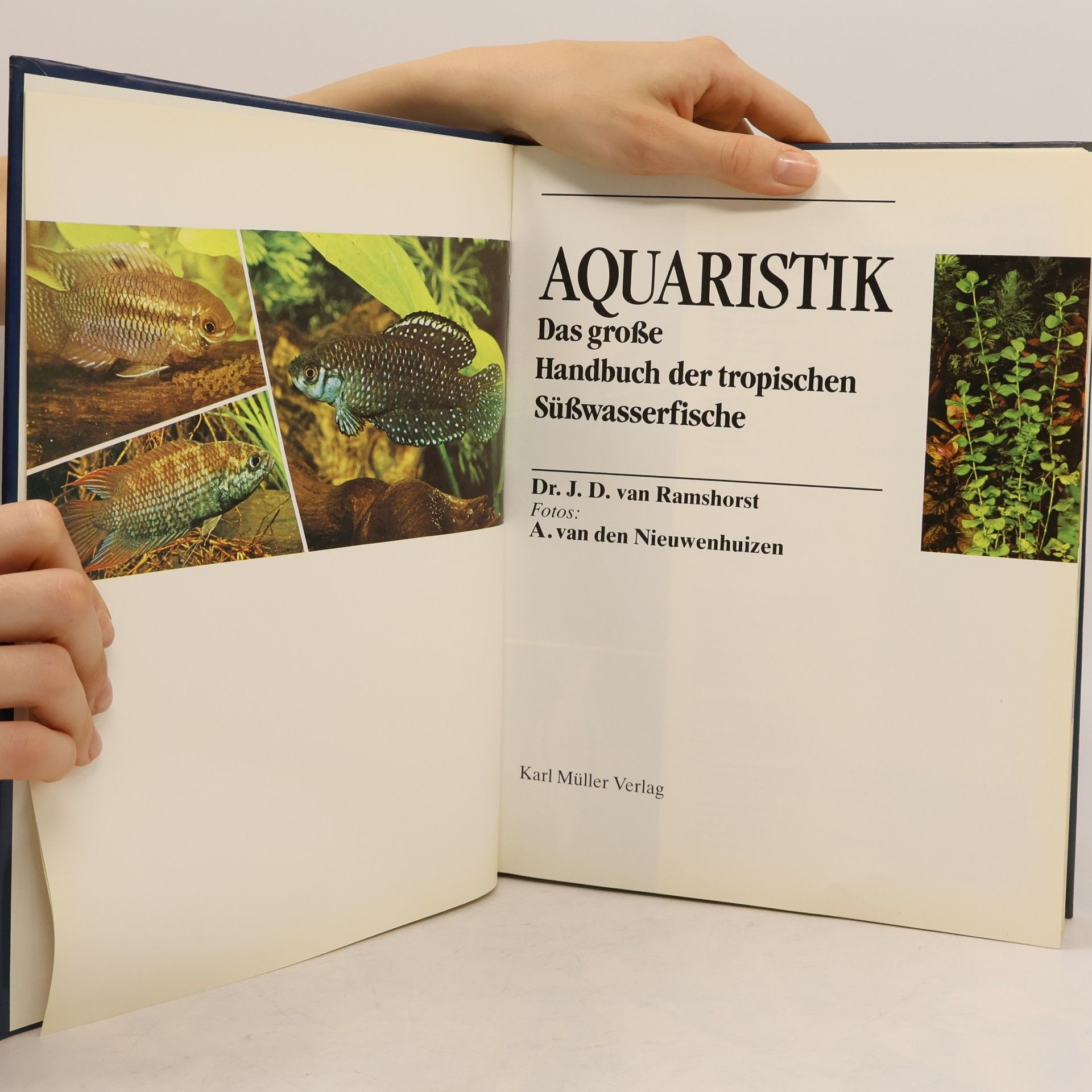 Various authors Aquaristik. Das grosse Handbuch der tropischen Süsswasserfische
