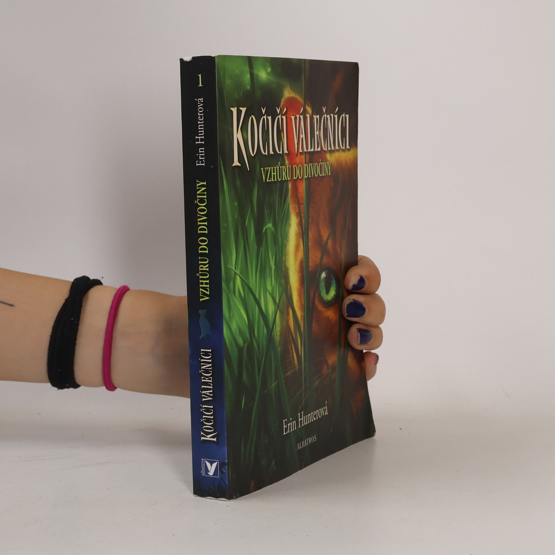 Erin Hunter Kočičí válečníci. Vzhůru do divočiny