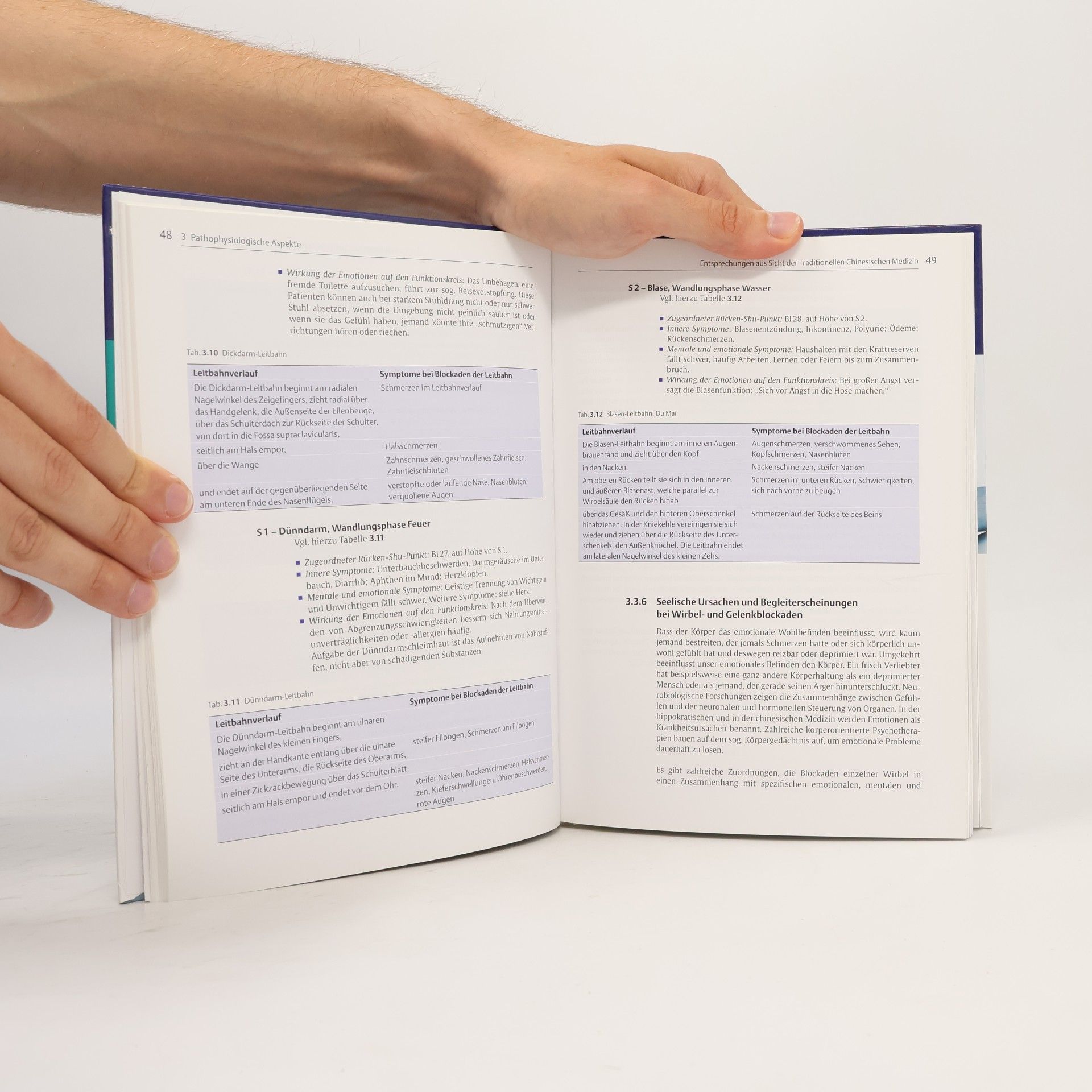 Olaf Breidenbach Lehrbuch Dorn-Therapie