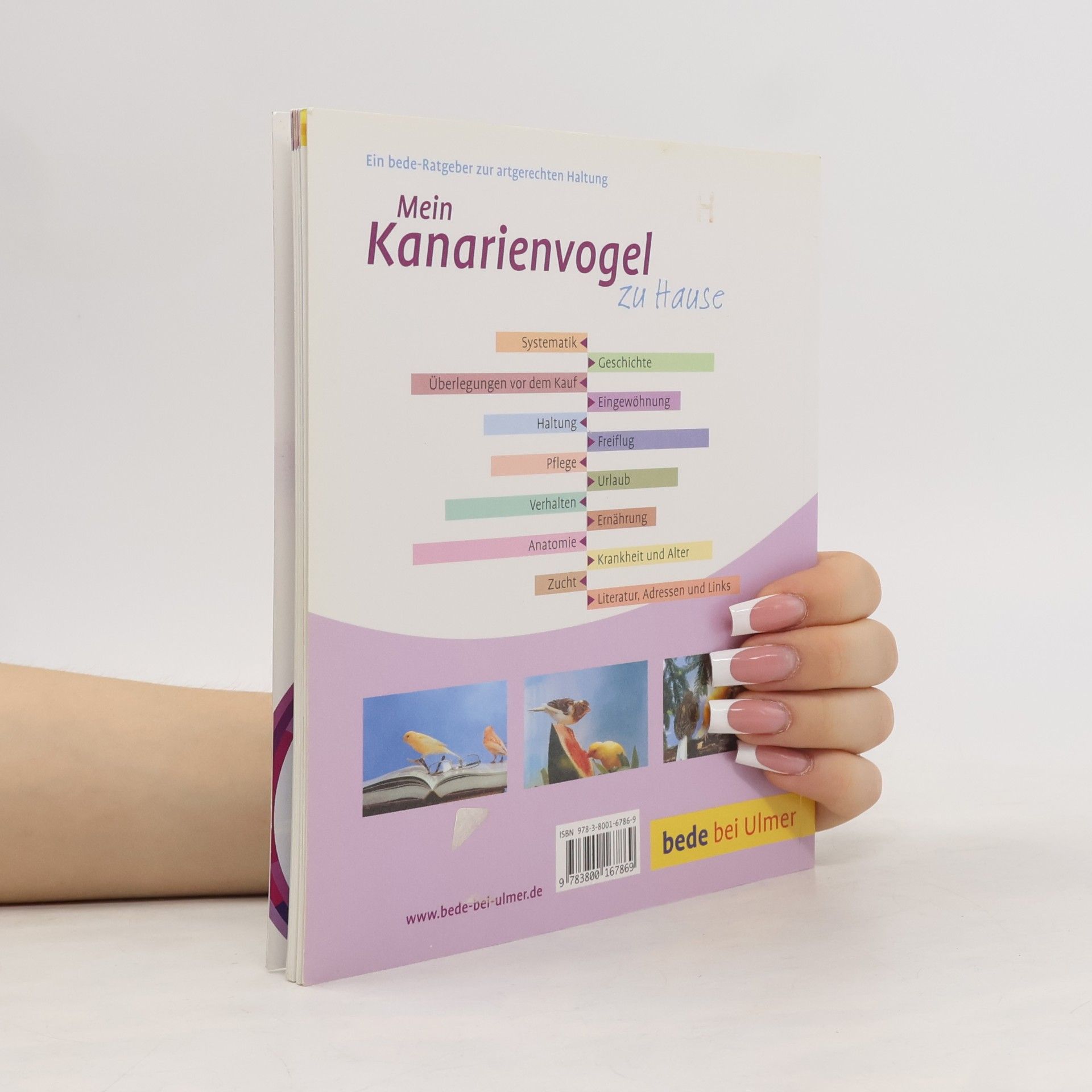 Harro Hieronimus Mein Kanarienvogel zu Hause