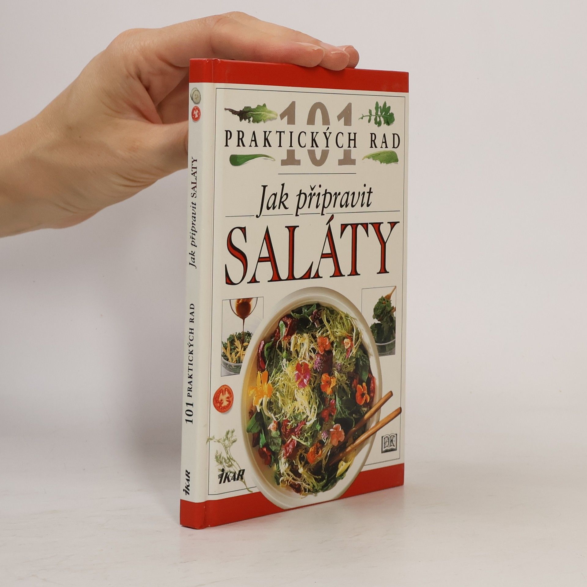 Anne Willan Jak připravit saláty