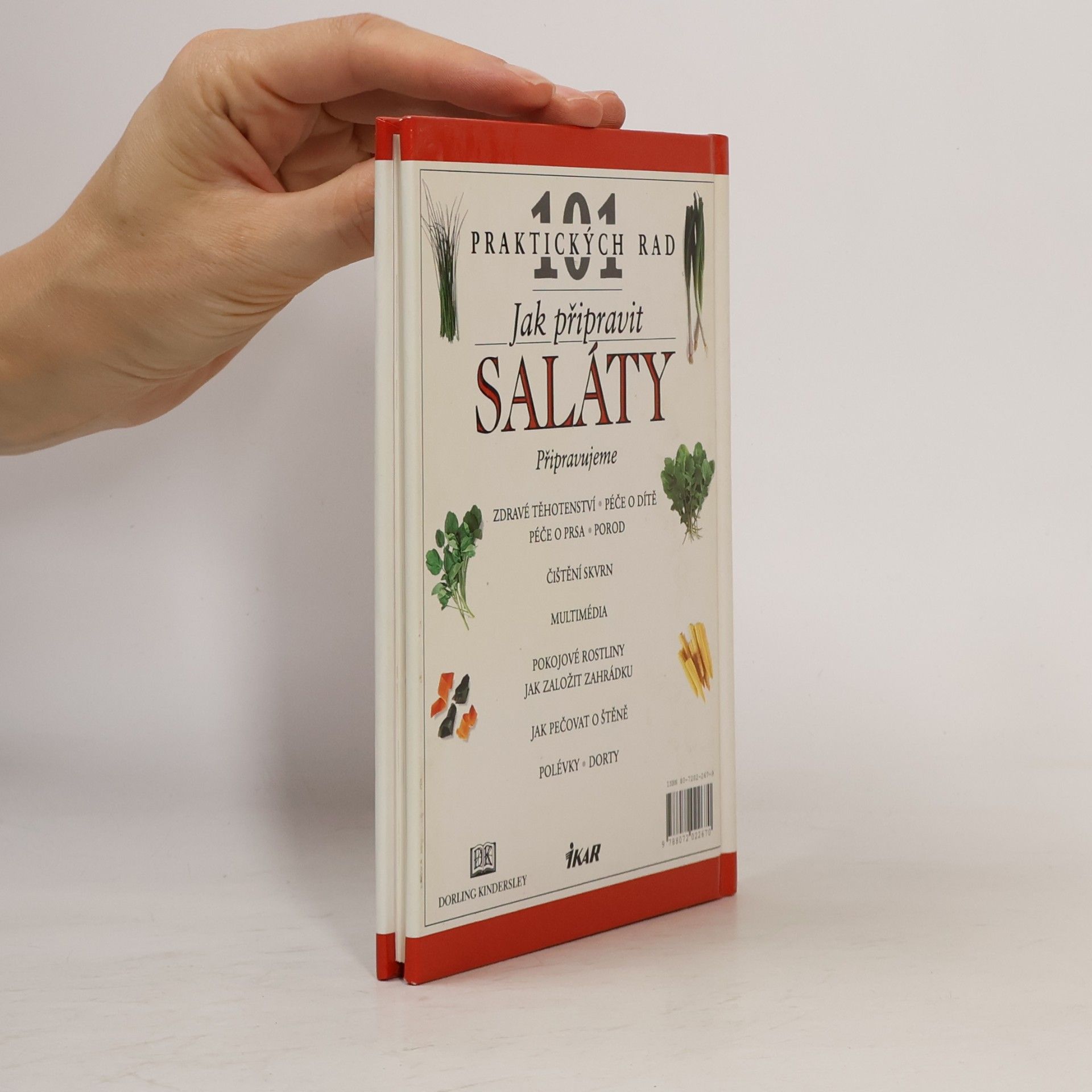Anne Willan Jak připravit saláty