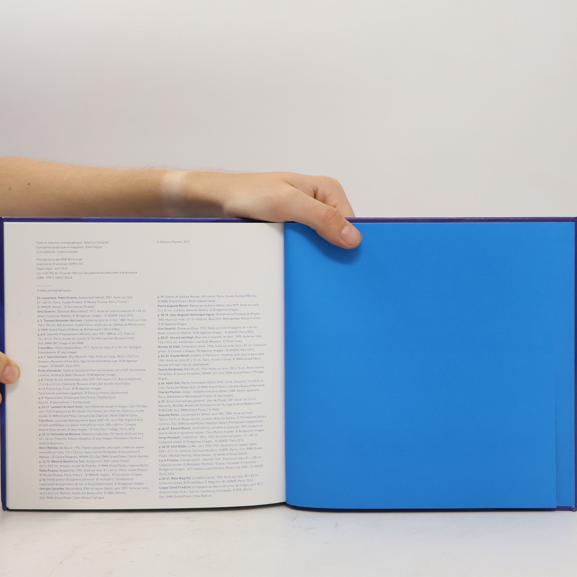 Béatrice Fontanel Bleu, l'odyssée des couleurs