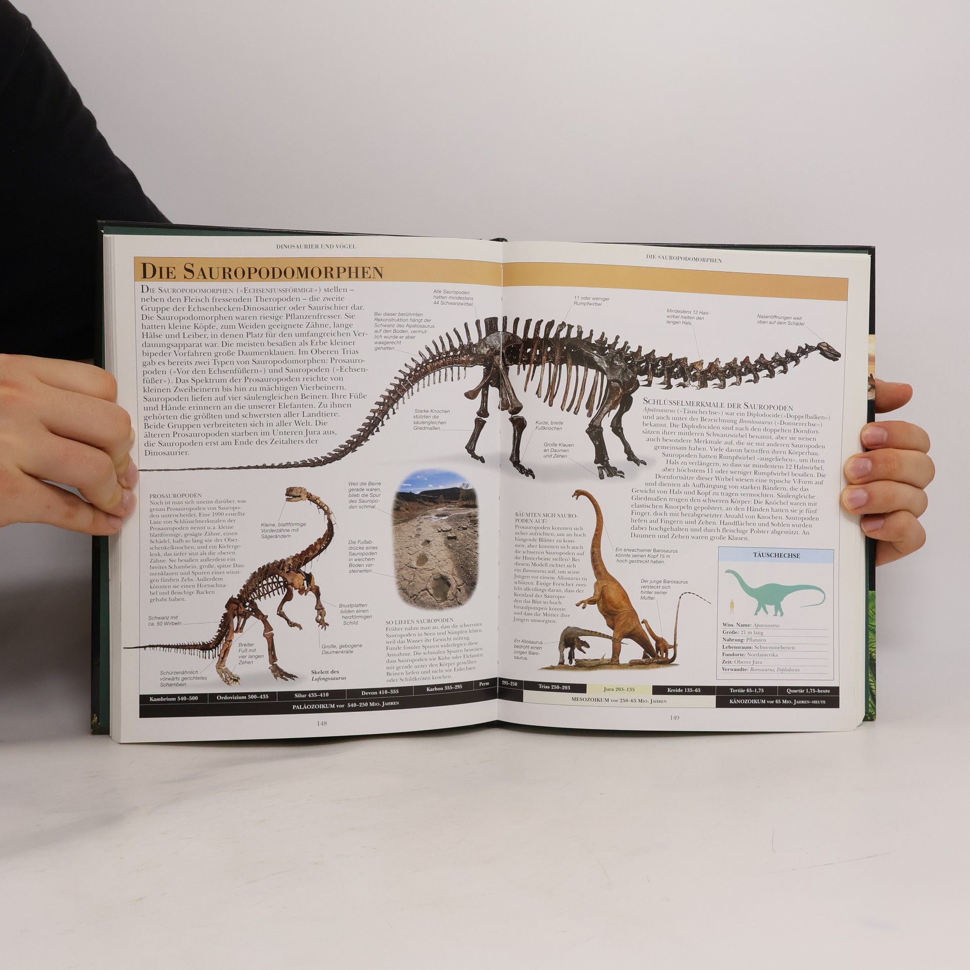 David Lambert Enzyklopädie der Dinosaurier