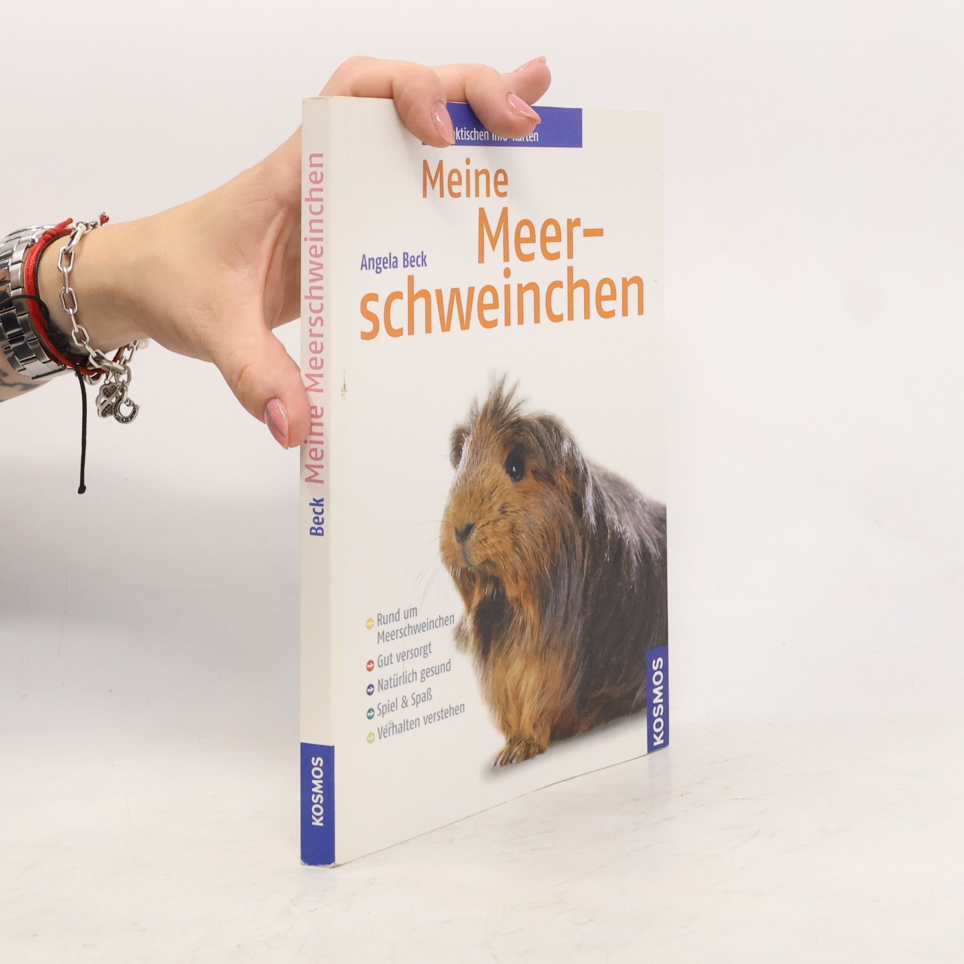 Angela Beck Meine Meerschweinchen