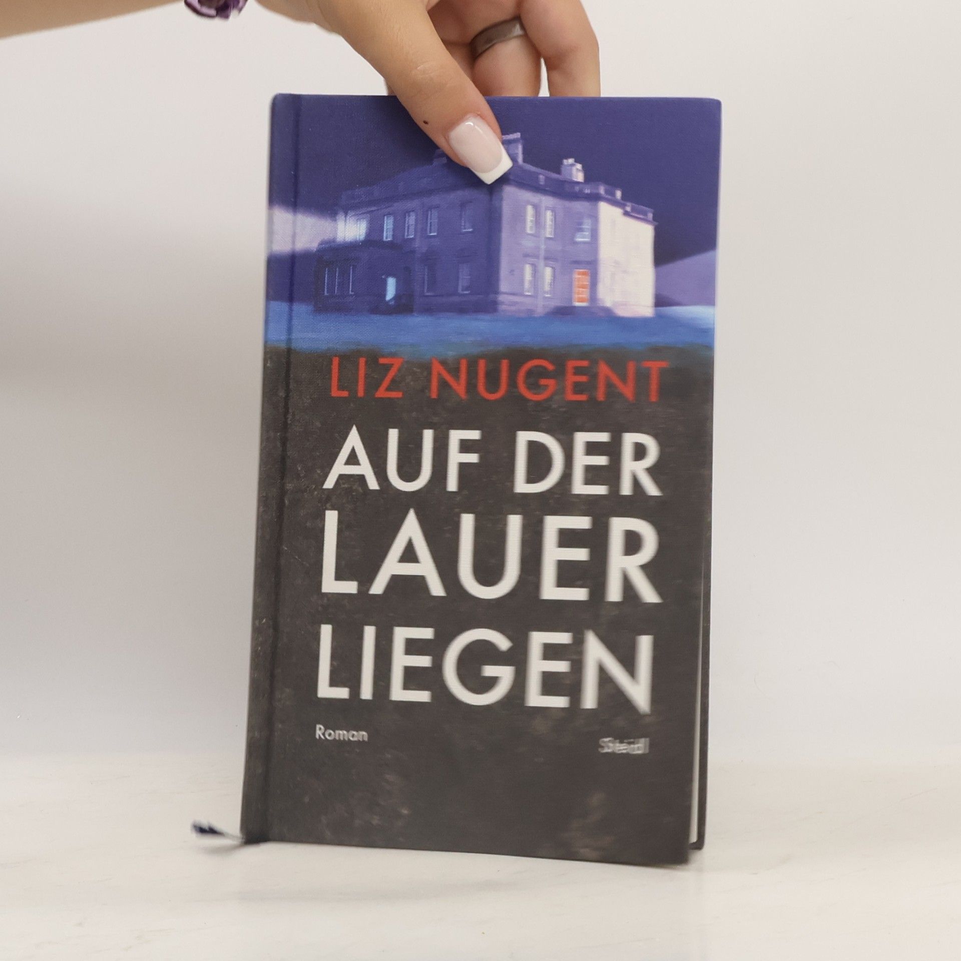 Liz Nugent Auf der Lauer liegen