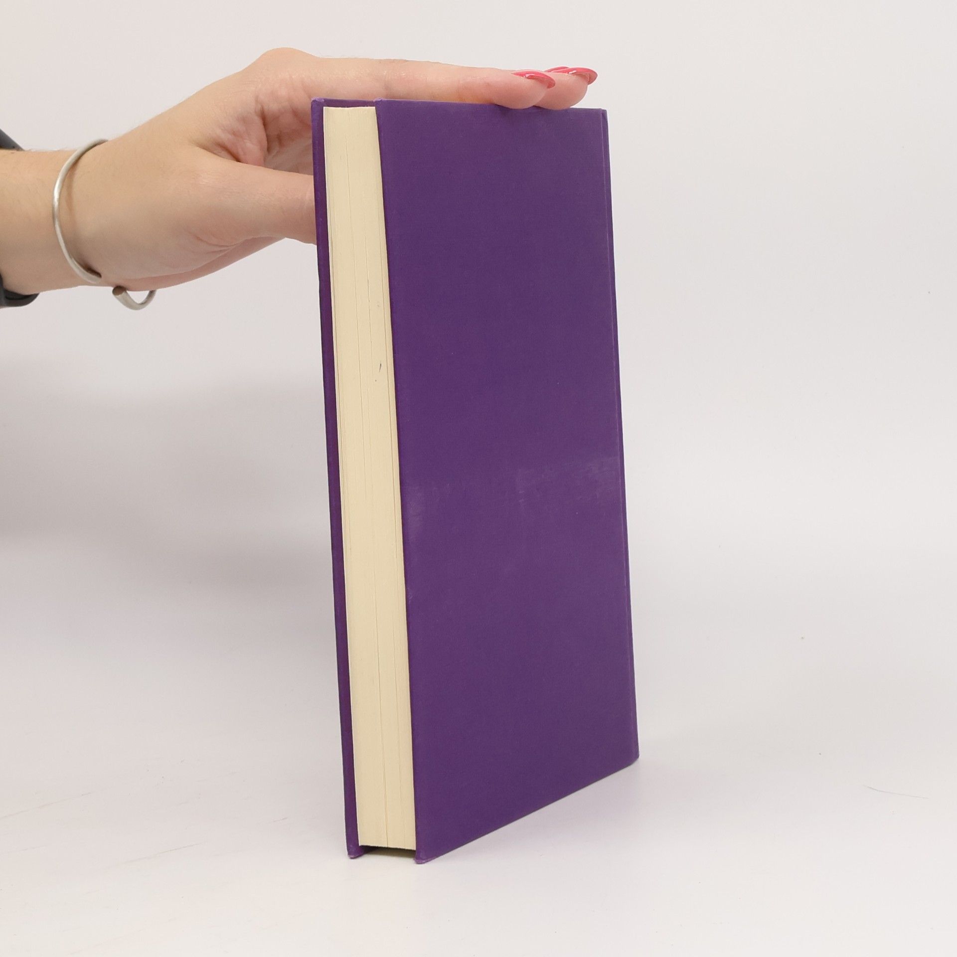 Peter Noll Der kleine Machiavelli : Handbuch der Macht für den alltäglichen Gebrauch