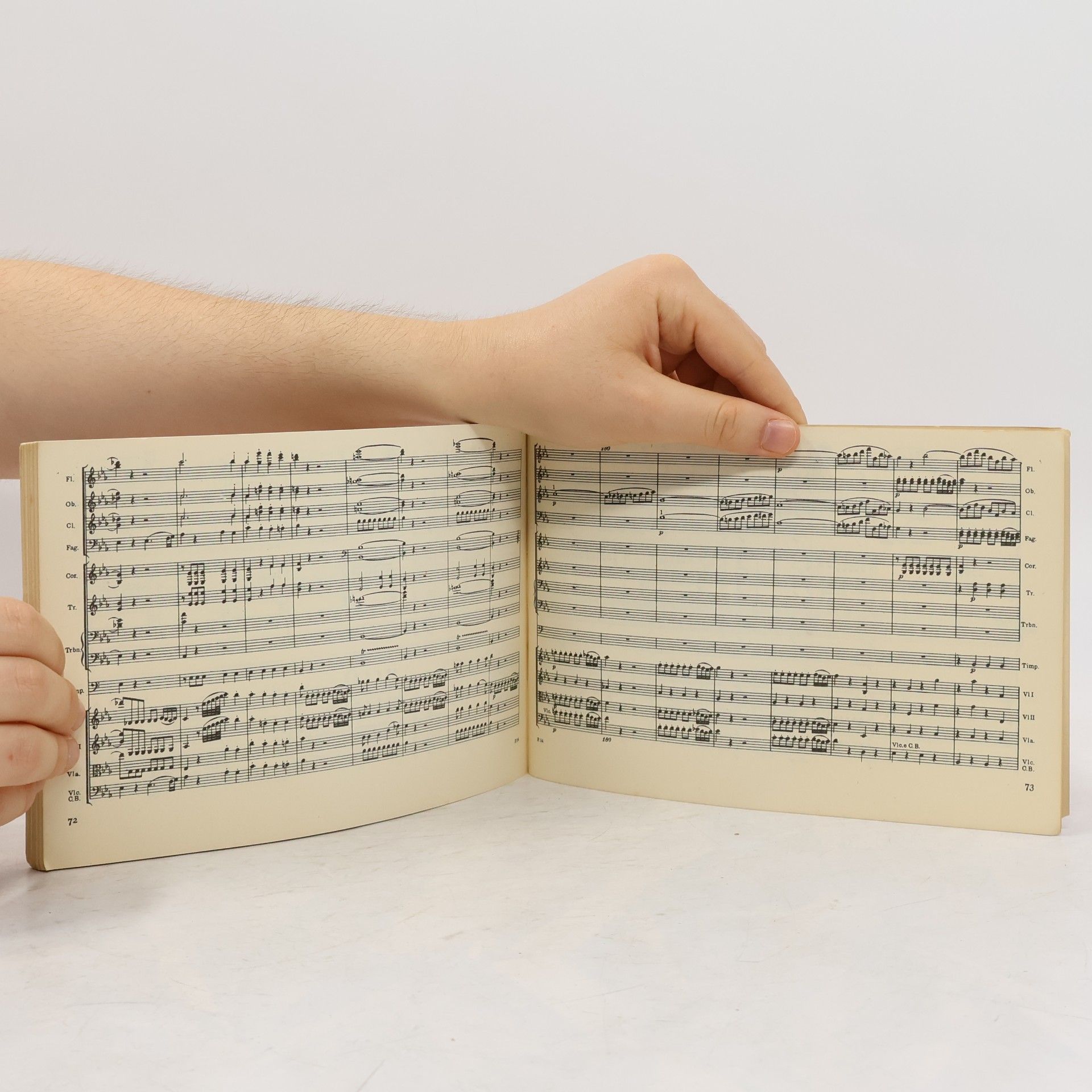 Wolfgang Amadeus Mozart Overtures: The Magic Flute and Don Giovanni