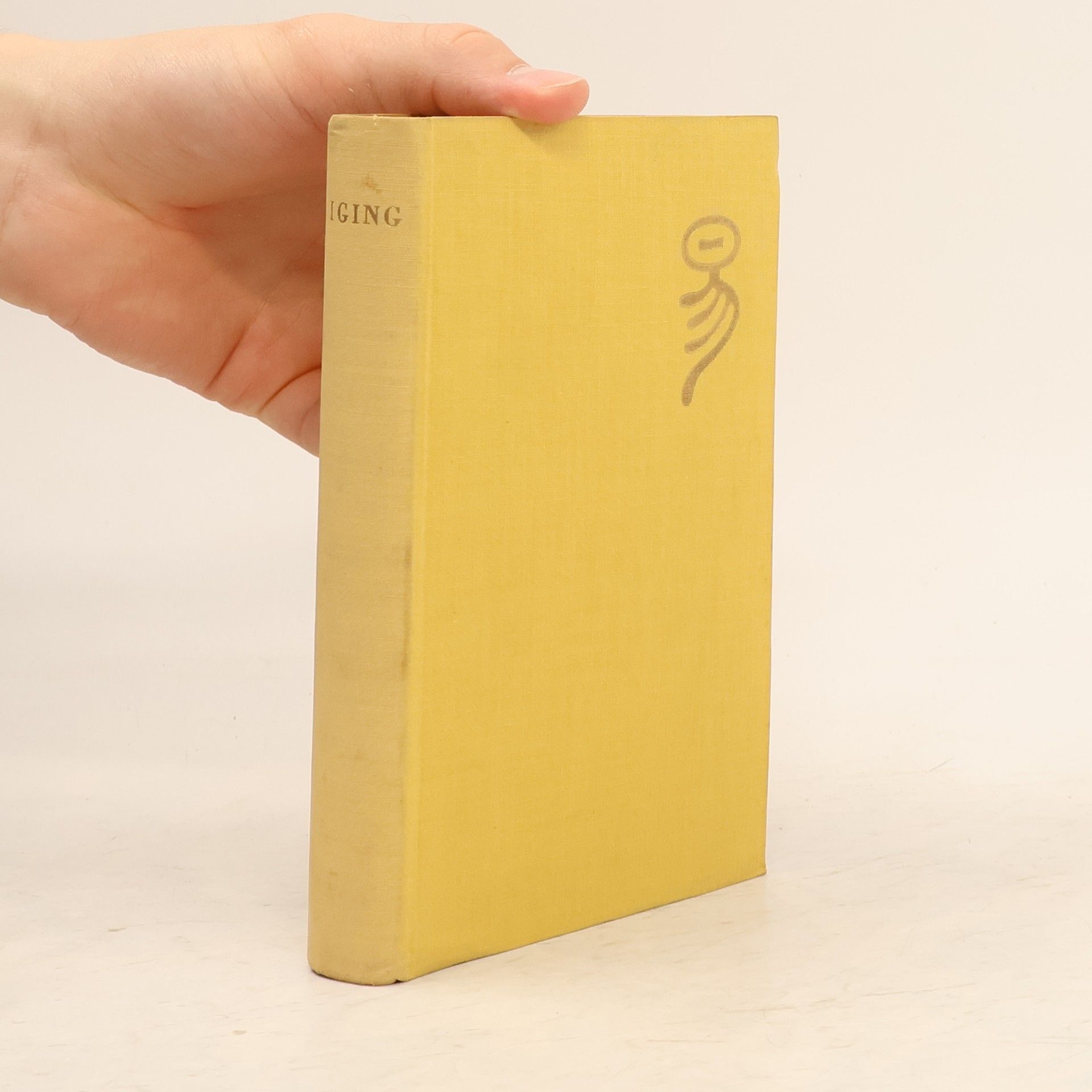 Autorenkollektiv Iging: Das Buch der Wandlungen