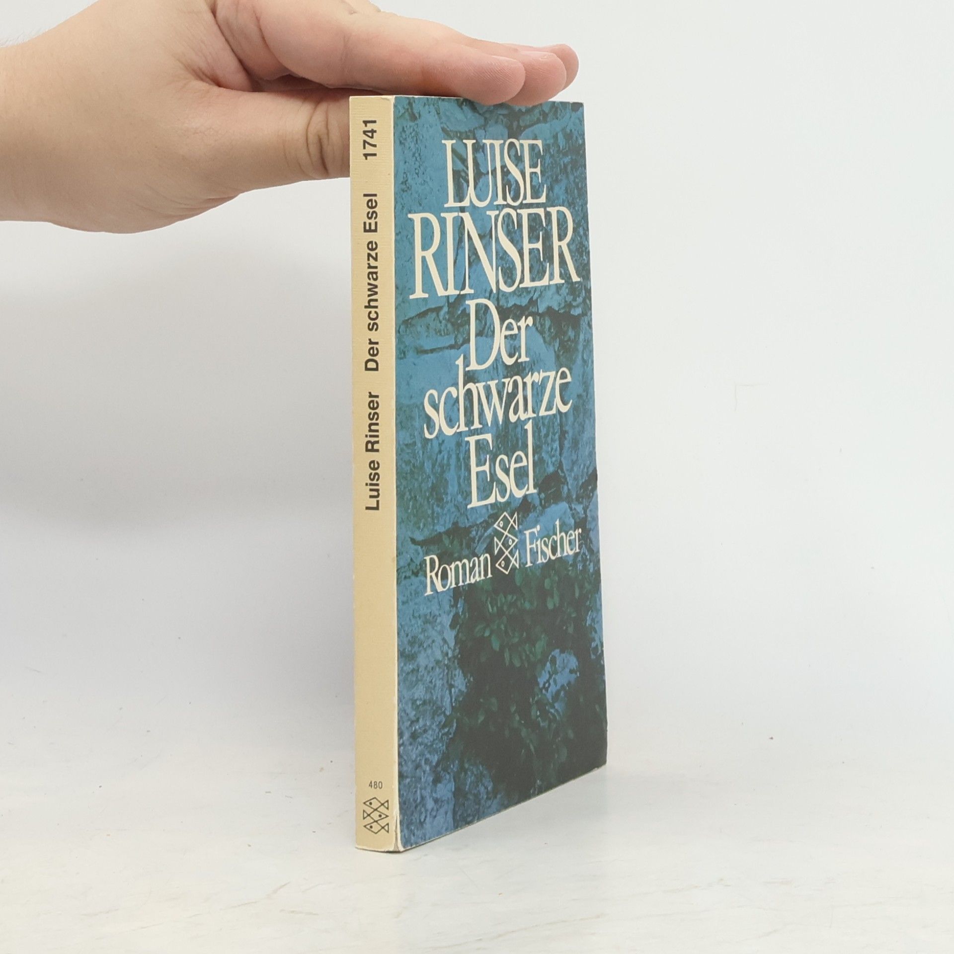 Luise Rinser Der schwarze Esel