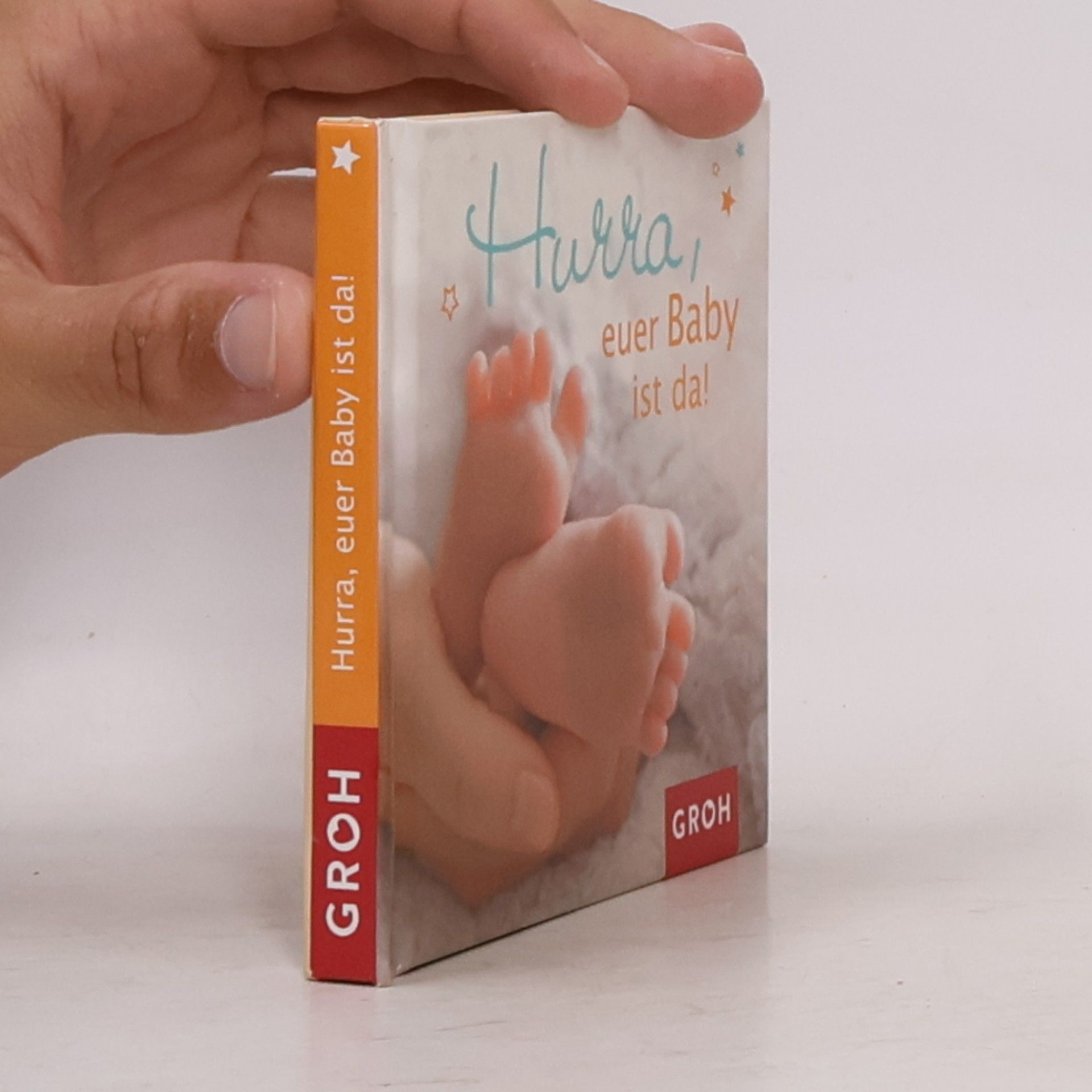 Dorothée Bleker Hurra, euer Baby ist da!