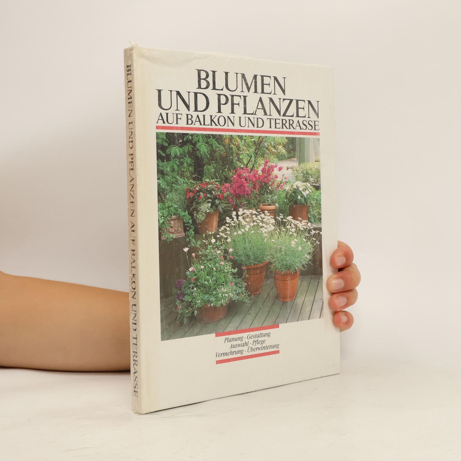 Autorenkollektiv Blumen und Pflanzen auf Balkon und Terrasse