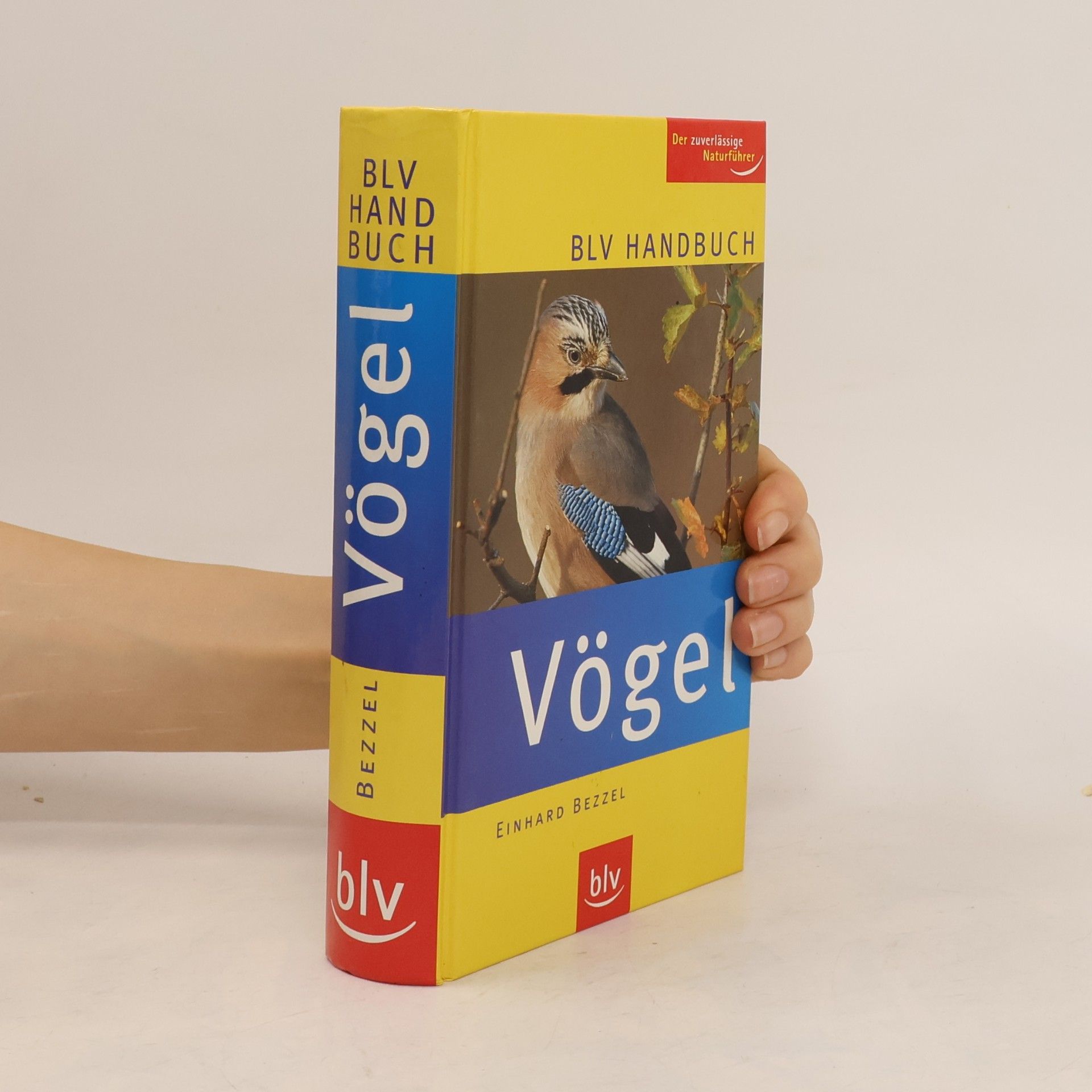 Einhard Bezzel BLV-Handbuch Vögel