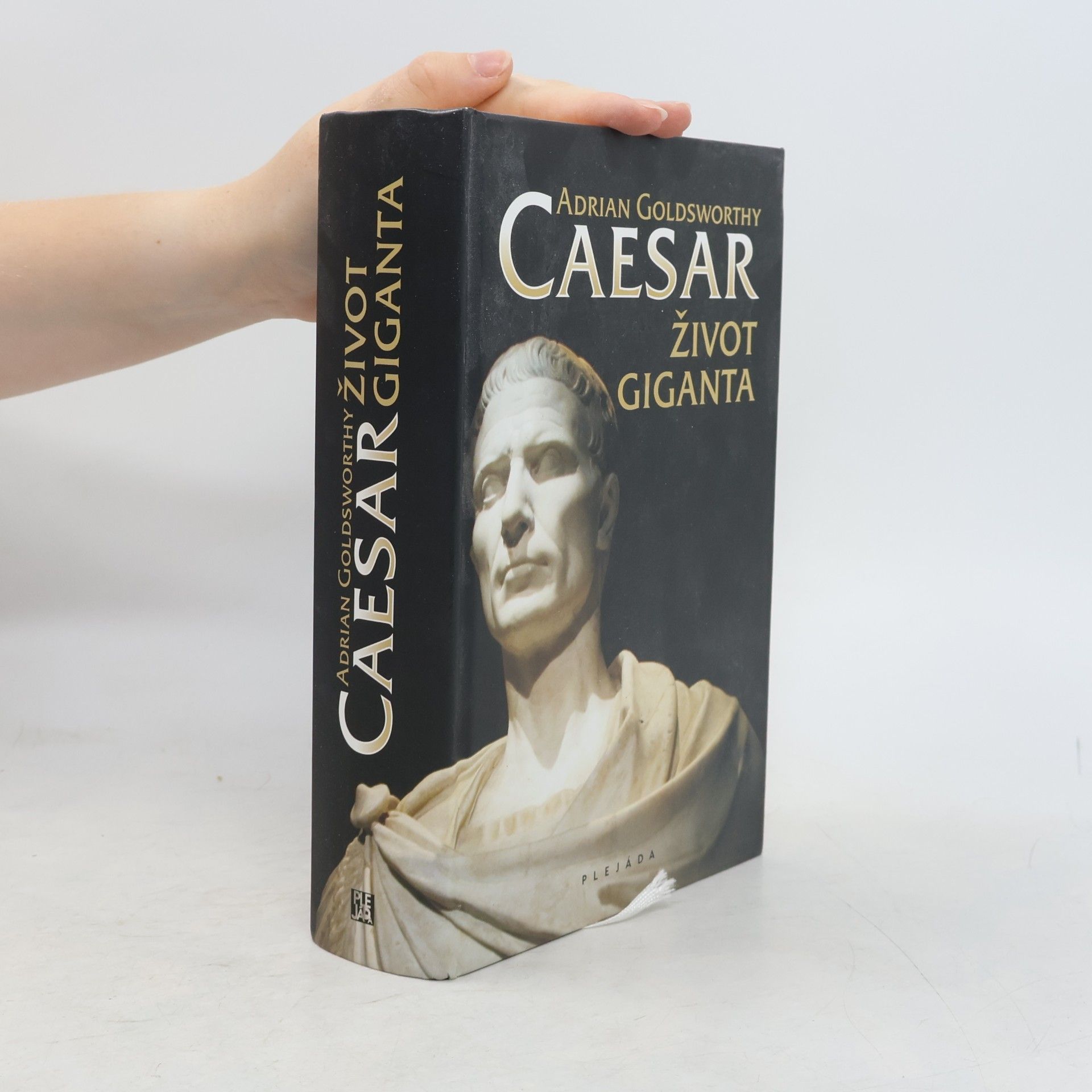 Adrian Goldsworthy Caesar: Život giganta