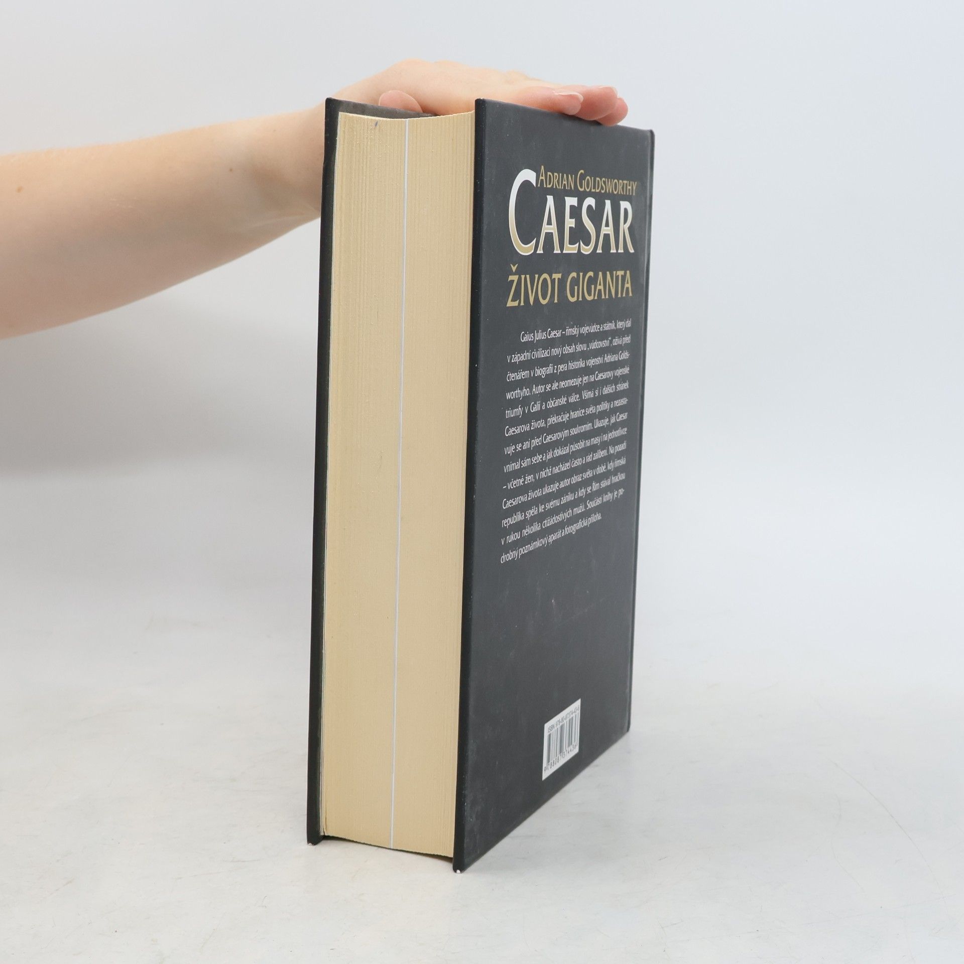 Adrian Goldsworthy Caesar: Život giganta