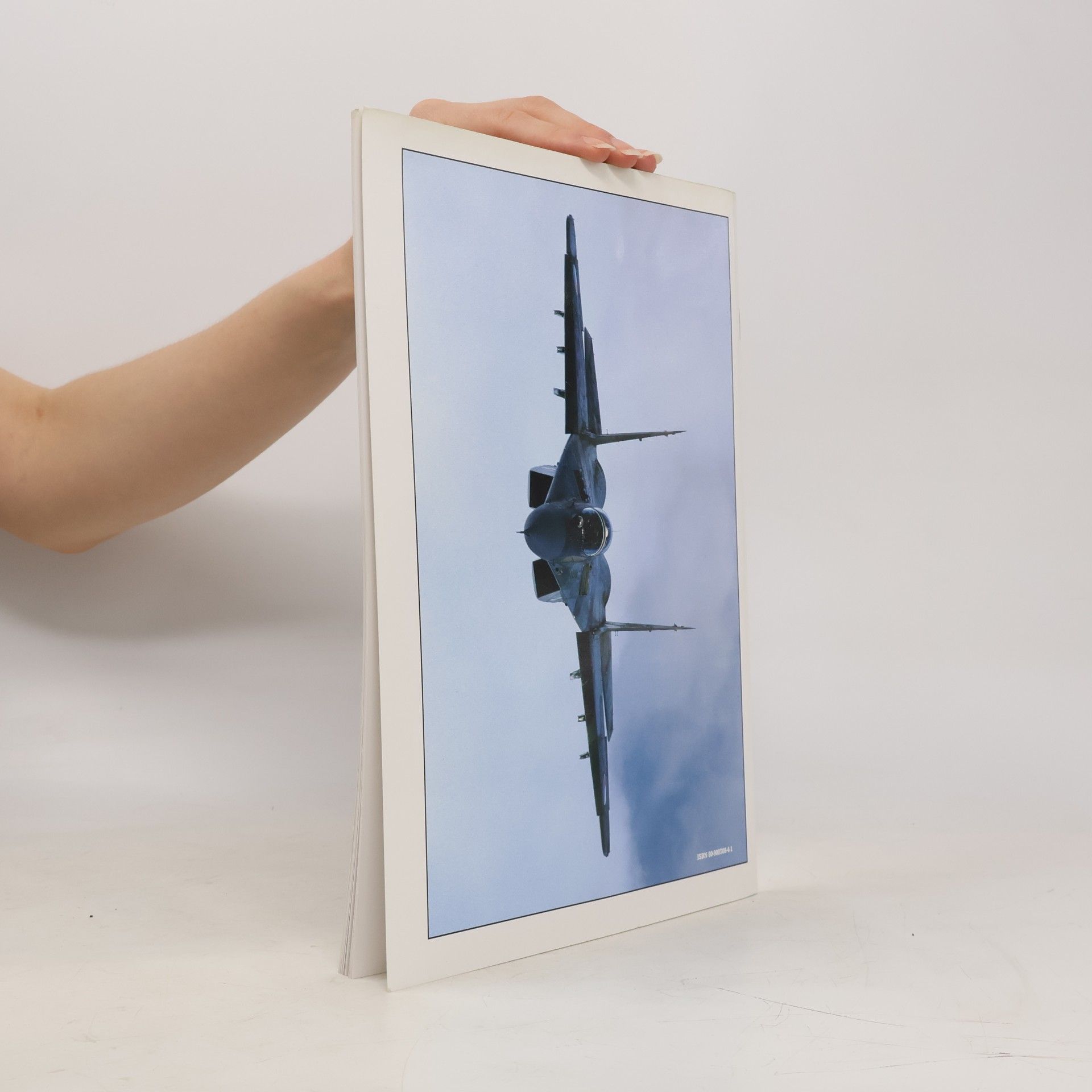 Michal Ovčáčík MiG-29