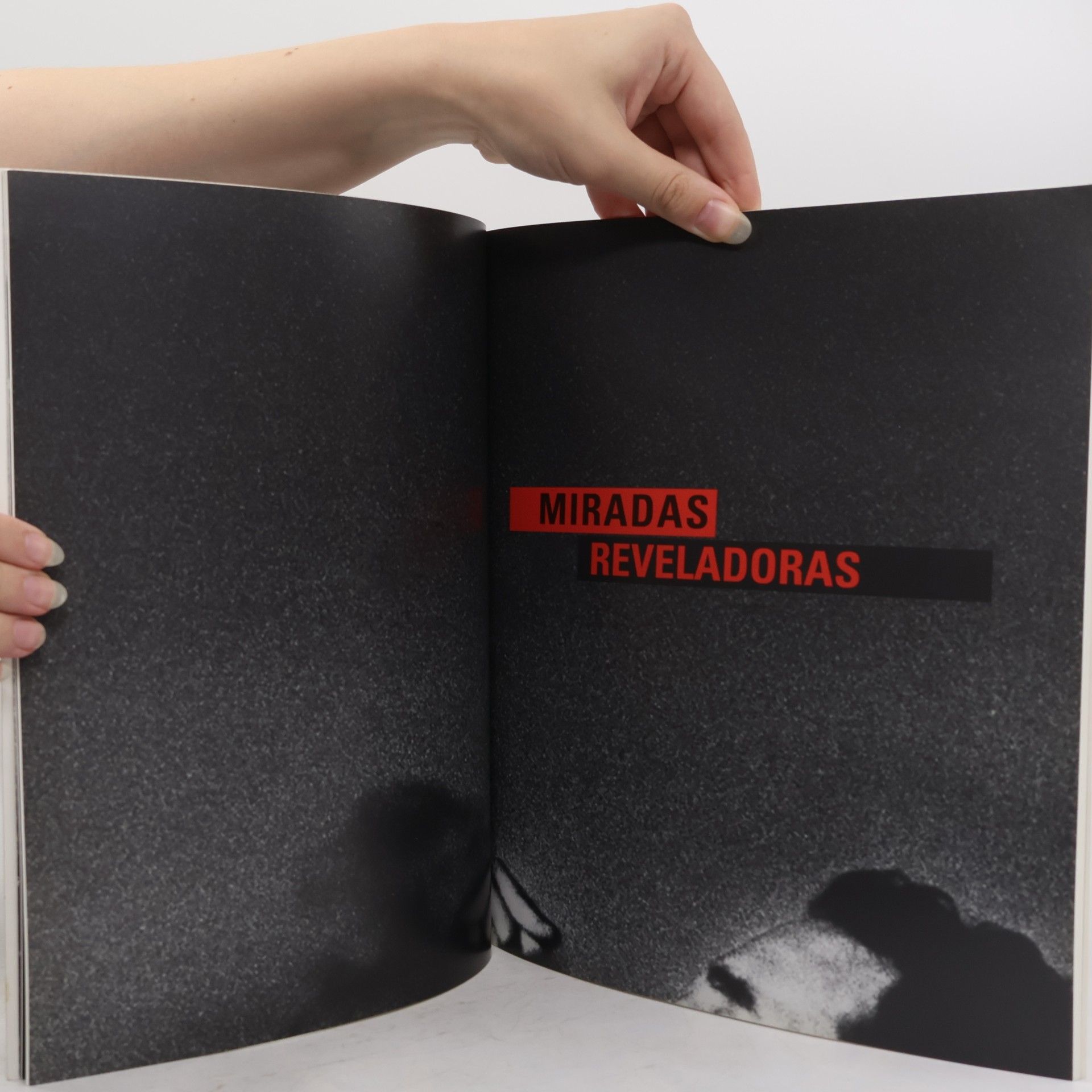 Autorenkollektiv Miradas Reveladoras