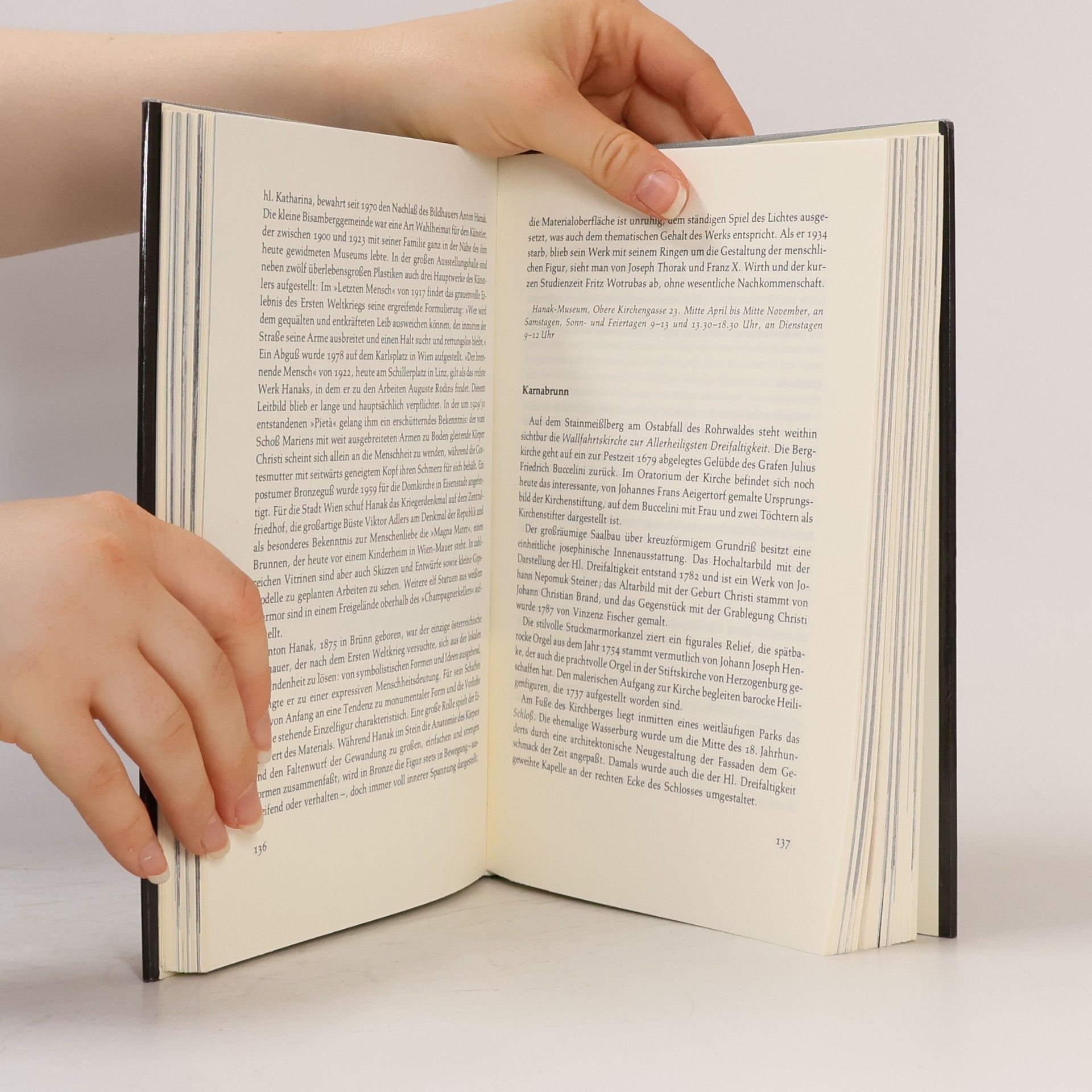 Collectif d'auteurs Die Umgebungen Wiens: Landschaft und Kunst