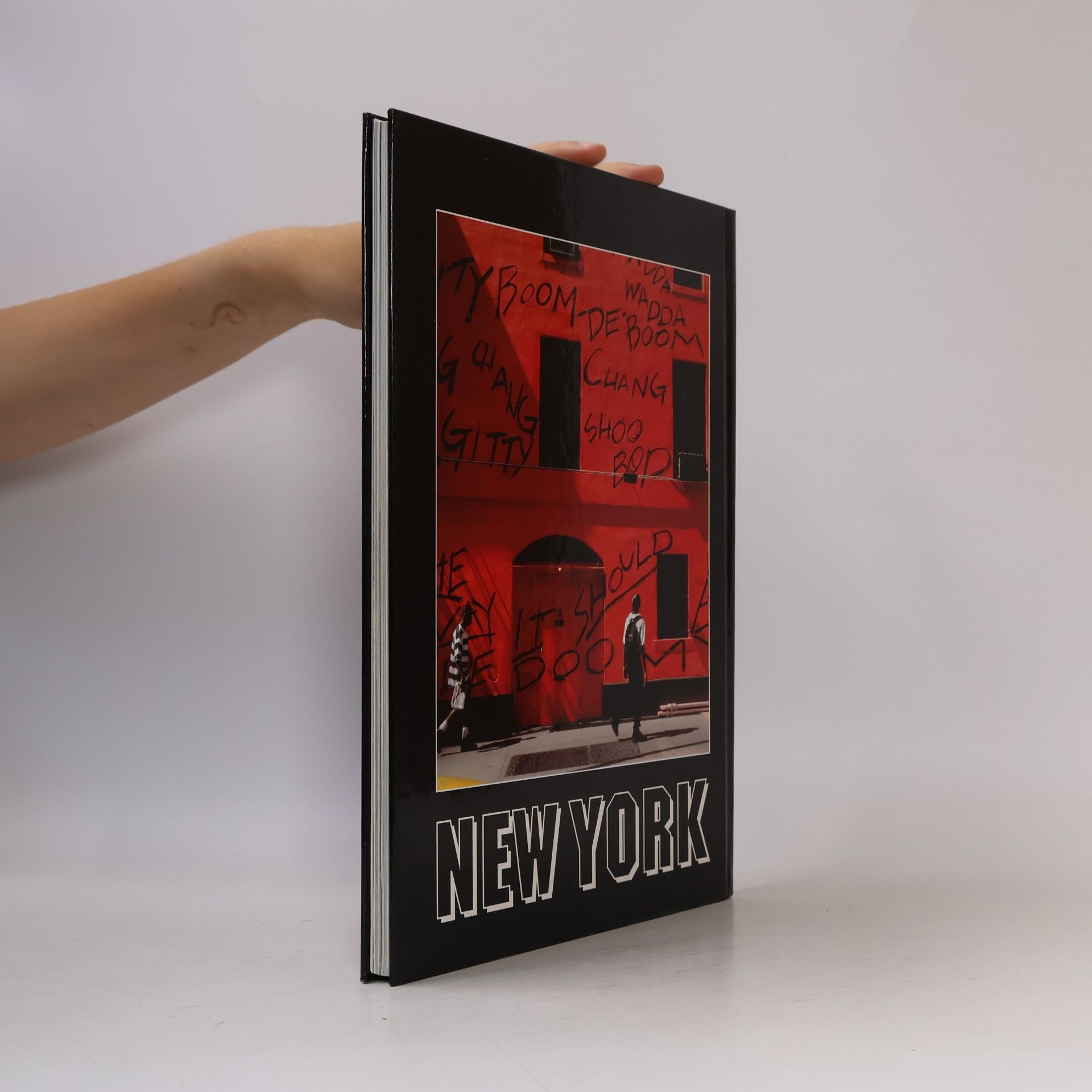 Jiří Macht New York