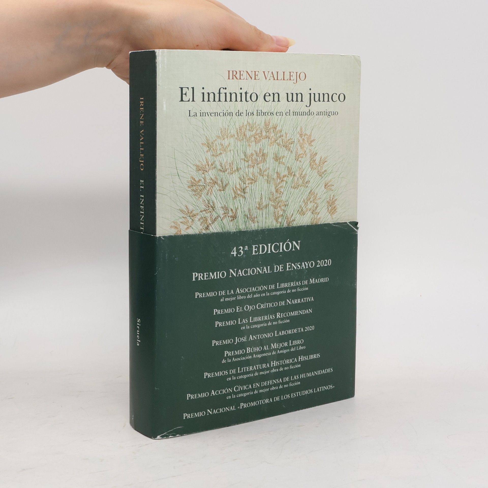 Irene Vallejo El infinito en un junco