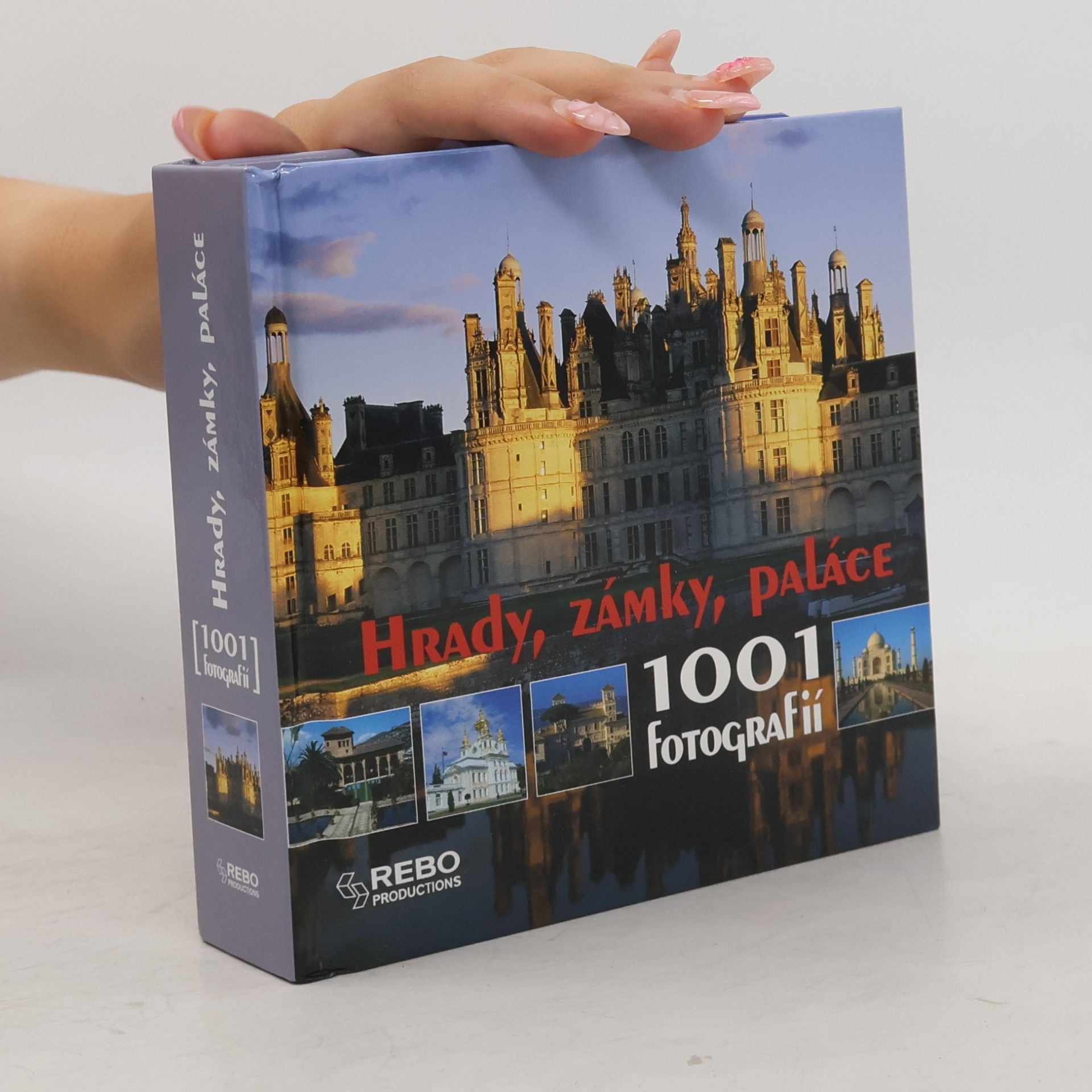 Bayle Francoise Hrady, zámky, paláce: 1001 fotografií